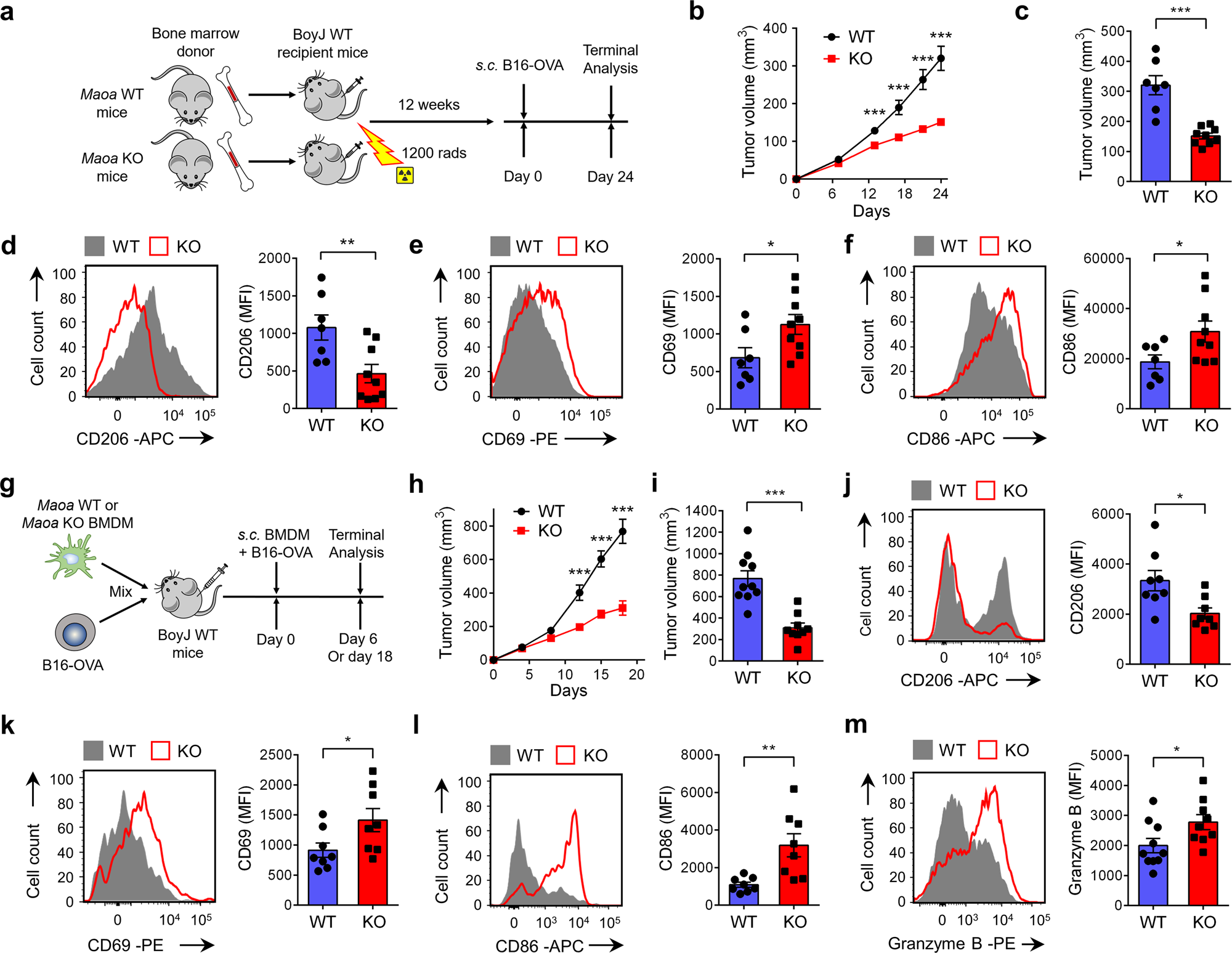 Fig. 2: MAO-A directly regulates TAM polarization and influences TAM-associated antitumor T-cell reactivity.