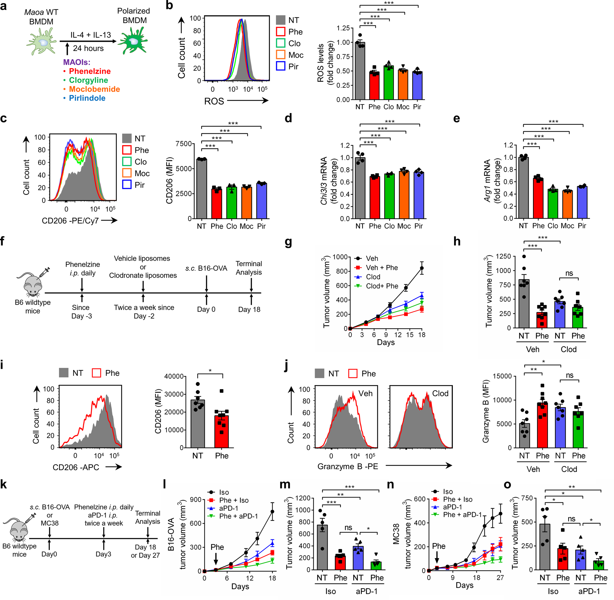 Fig. 5: MAO-A blockade for cancer immunotherapy—syngeneic mouse tumor model studies.