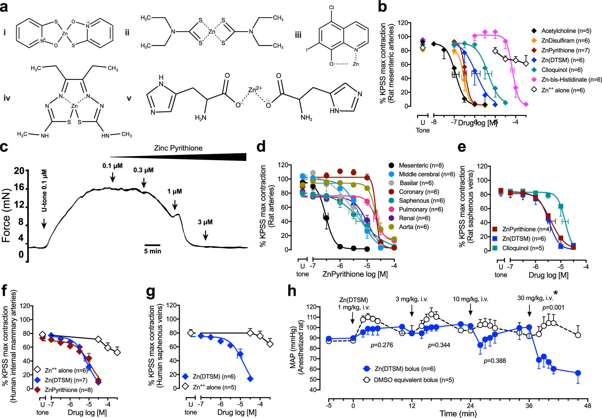 Fig. 1: Zinc ionophores cause vasorelaxation of rat and human isolated arteries and decrease blood pressure.