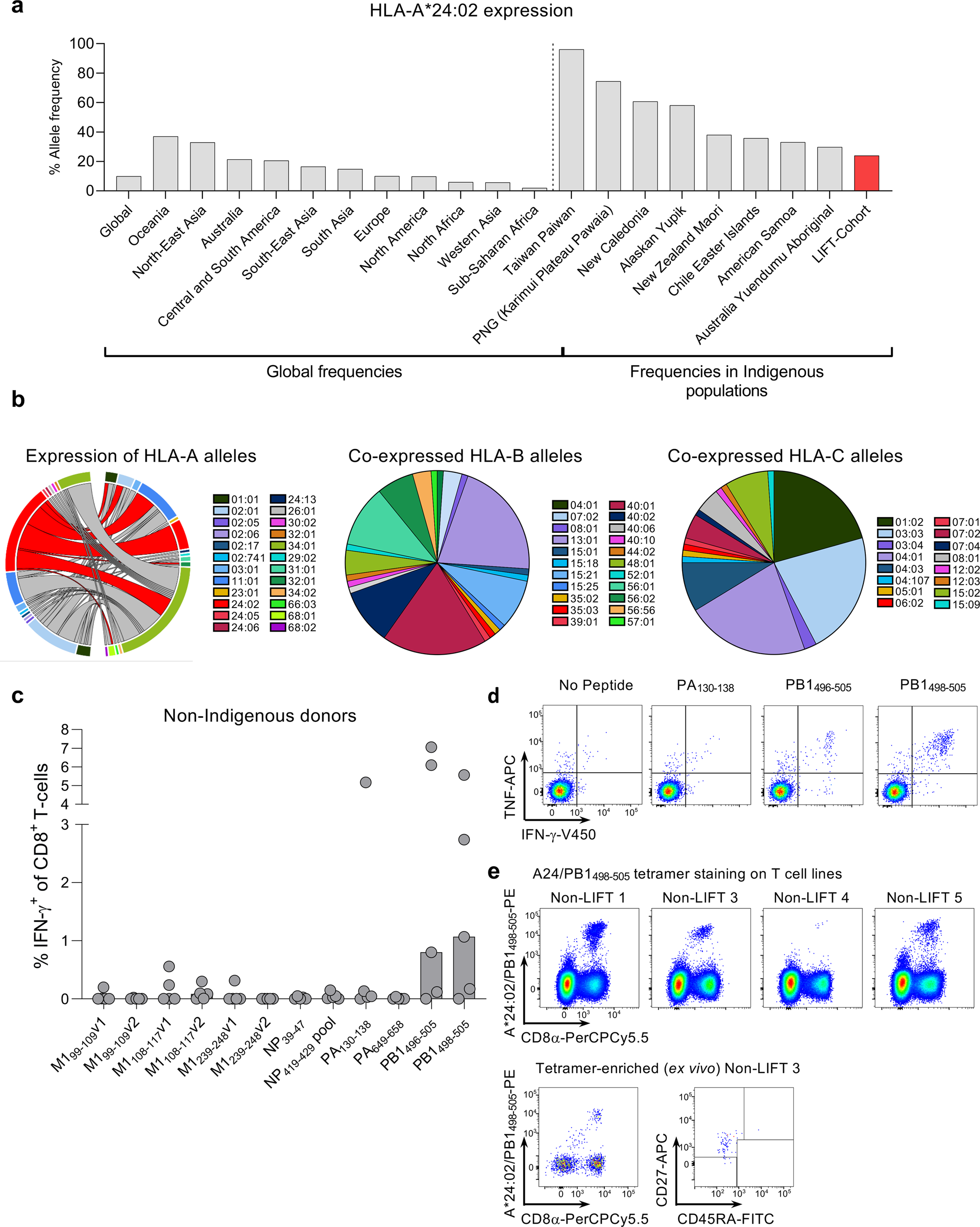 CD8+ T cell landscape in Indigenous and non-Indigenous people restricted by  influenza mortality-associated HLA-A*24:02 allomorph | Nature Communications