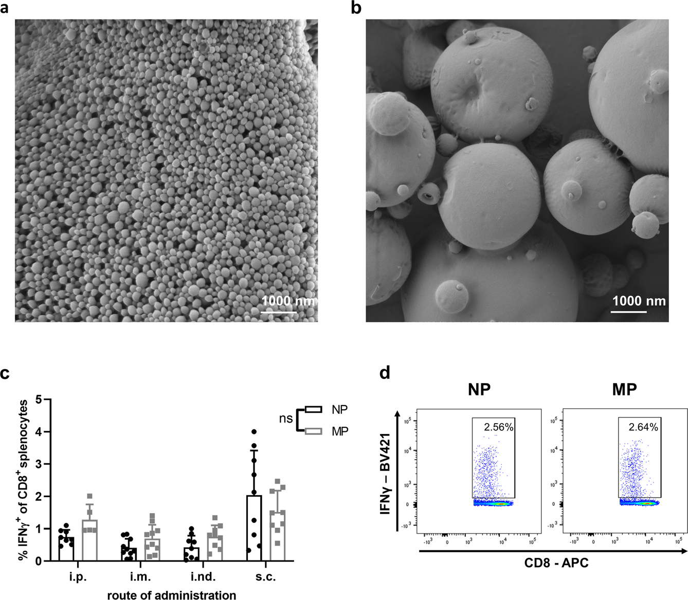 Plga Particle Vaccine Carrying Tlr3 Rig I Ligand Riboxxim Synergizes With Immune Checkpoint Blockade For Effective Anti Cancer Immunotherapy Nature Communications Plga Particle Vaccine Carrying Tlr3 Rig I Ligand Riboxxim Synergizes With Immune Checkpoint Blockade For Effective Anti Cancer Immunotherapy Nature Communications