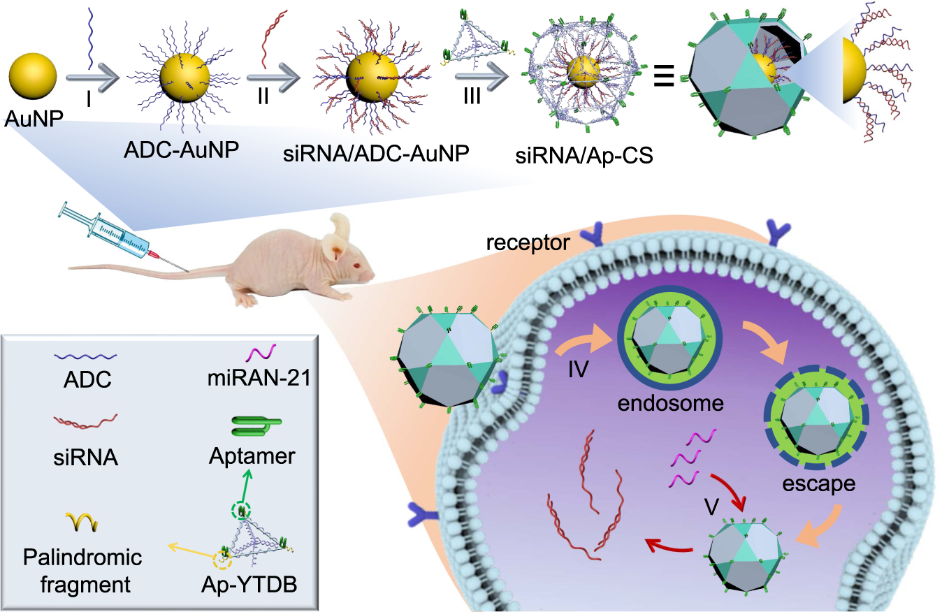 Programmably Tiling Rigidified Dna Brick On Gold Nanoparticle As Multi Functional Shell For Cancer Targeted Delivery Of Sirnas Nature Communications