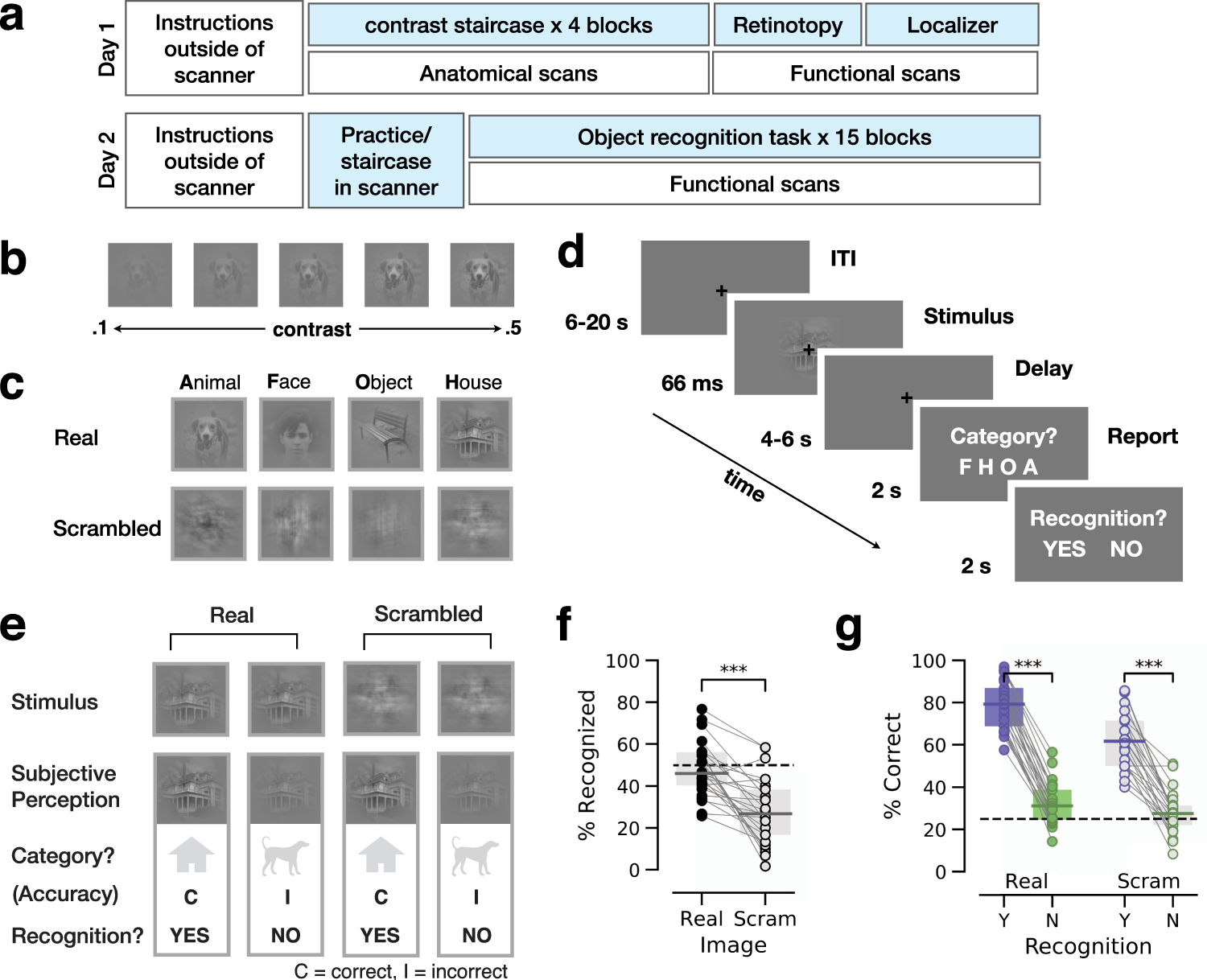 Cortical and subcortical signatures of conscious object recognition | Nature  Communications