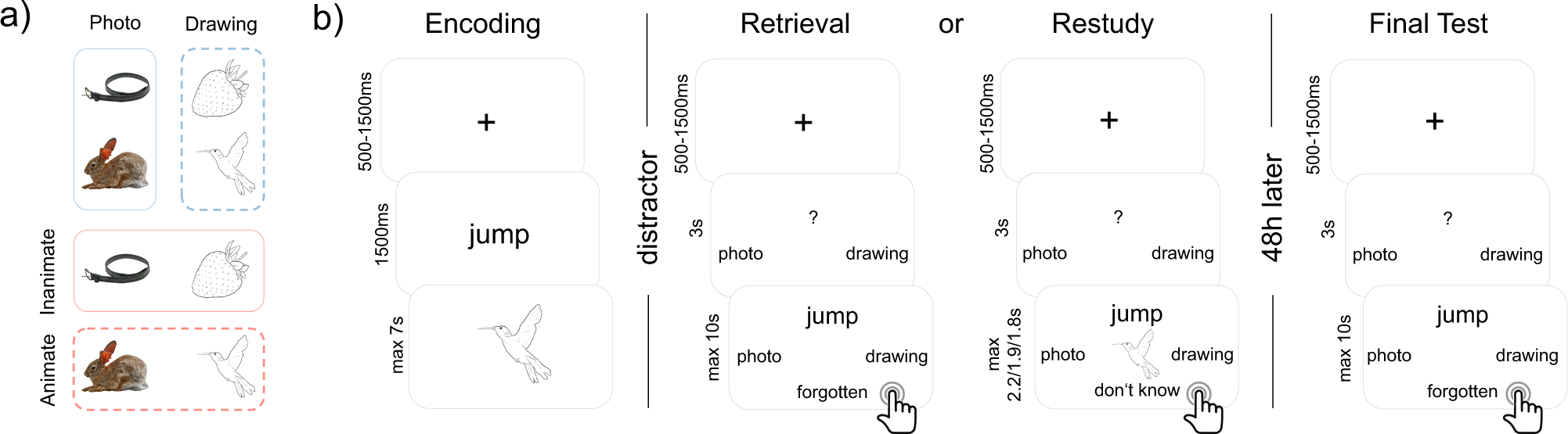 Fig. 1: Overview of stimuli and task.