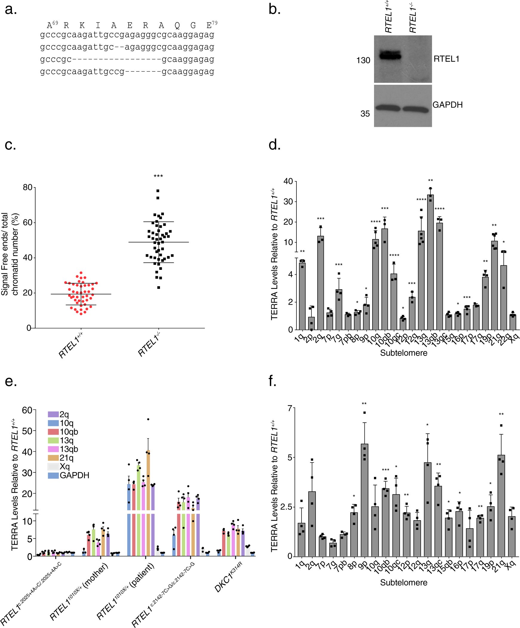 Fig. 3: RTEL1 Influences TERRA Levels.