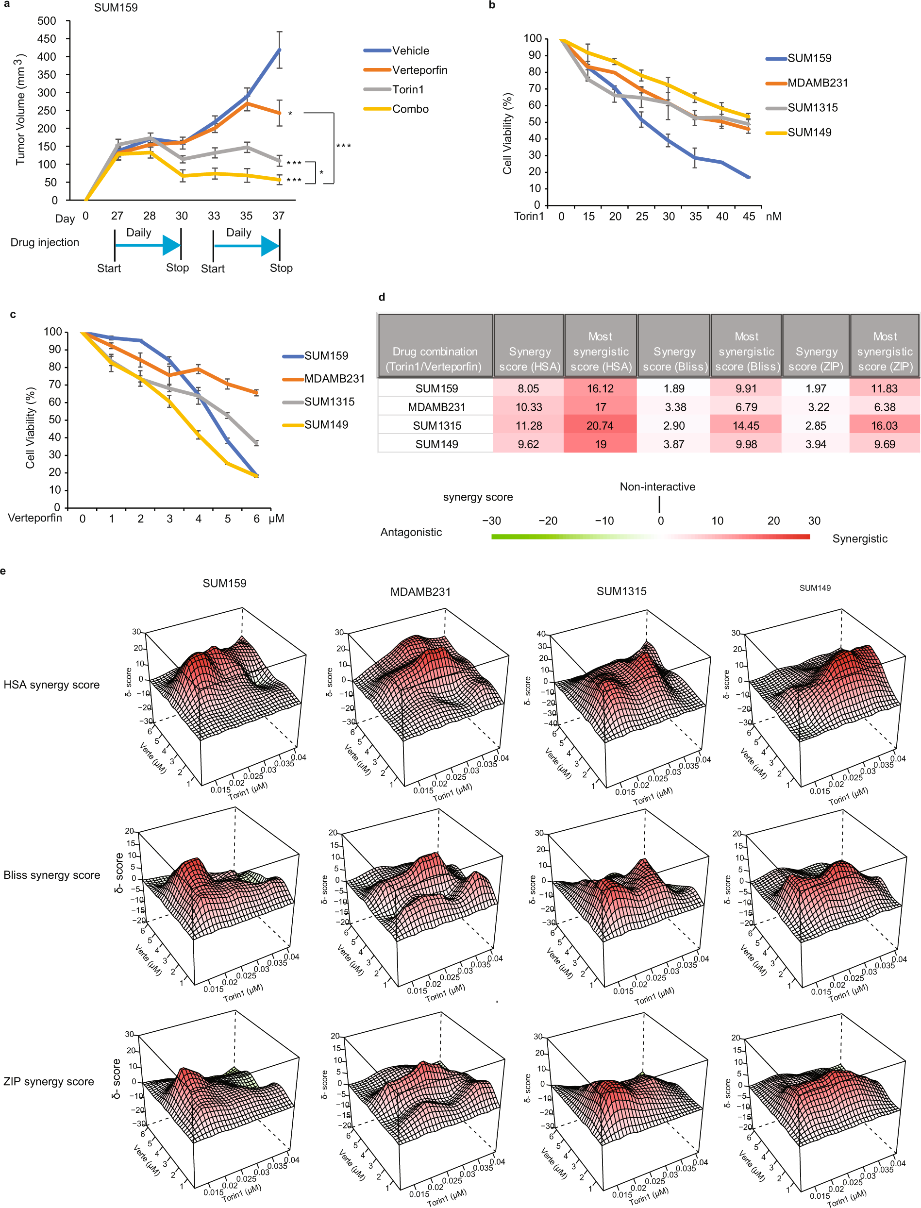 Fig. 5: Pharmacological mTOR and YAP inhibitors synergistically block tumor growth.