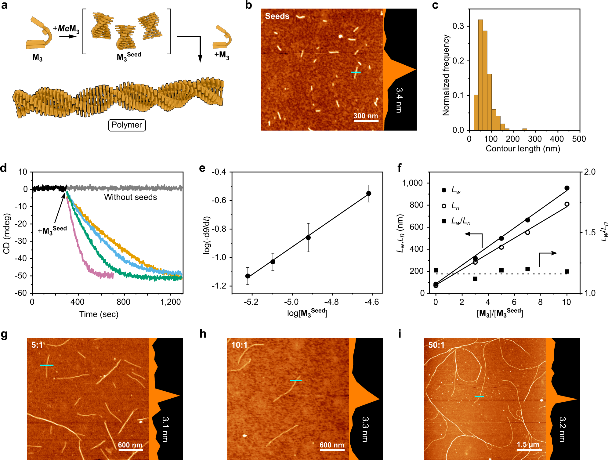 Fig. 4: Living supramolecular polymerization.