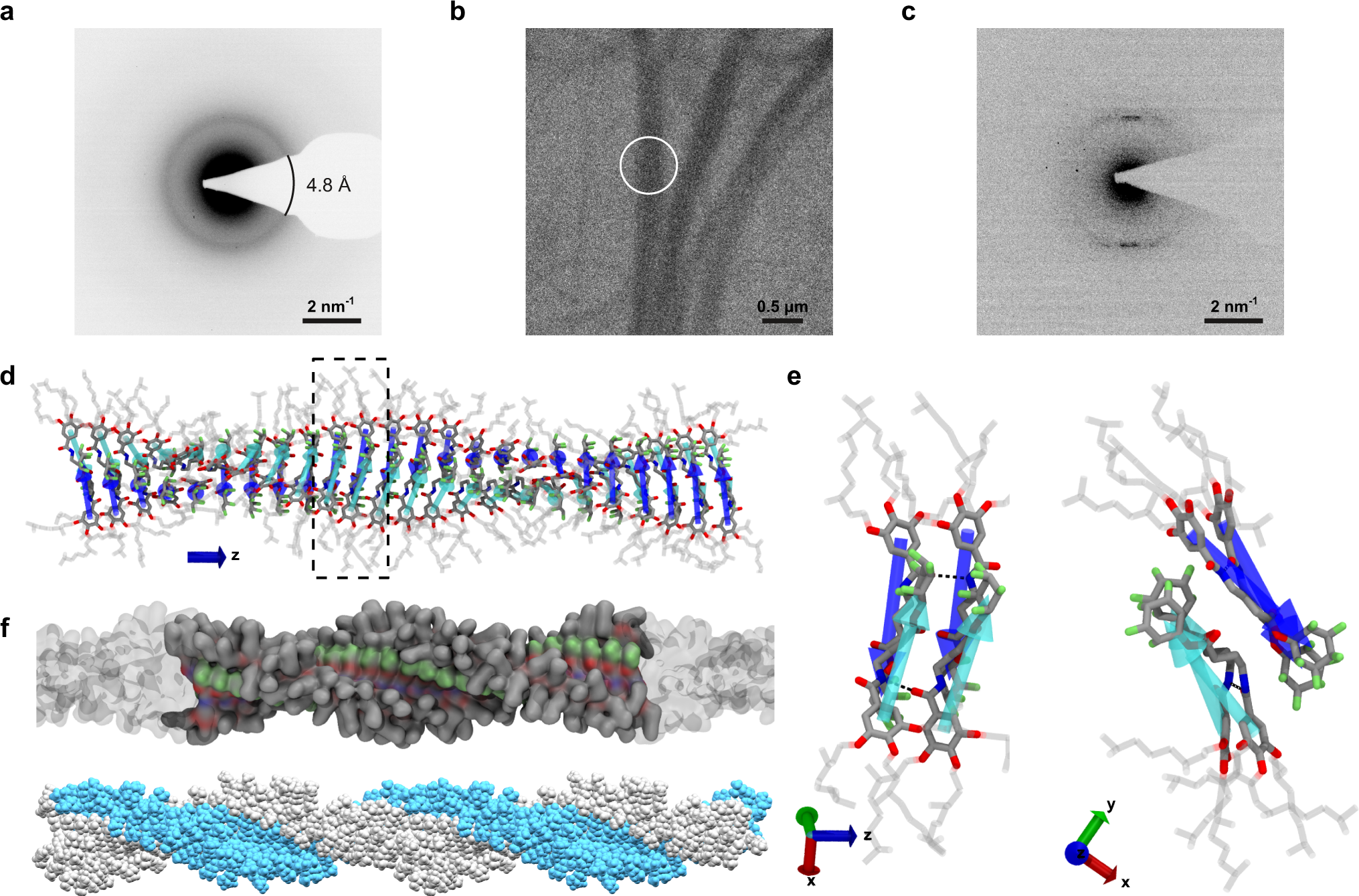 Fig. 6: Structure of the fibers.