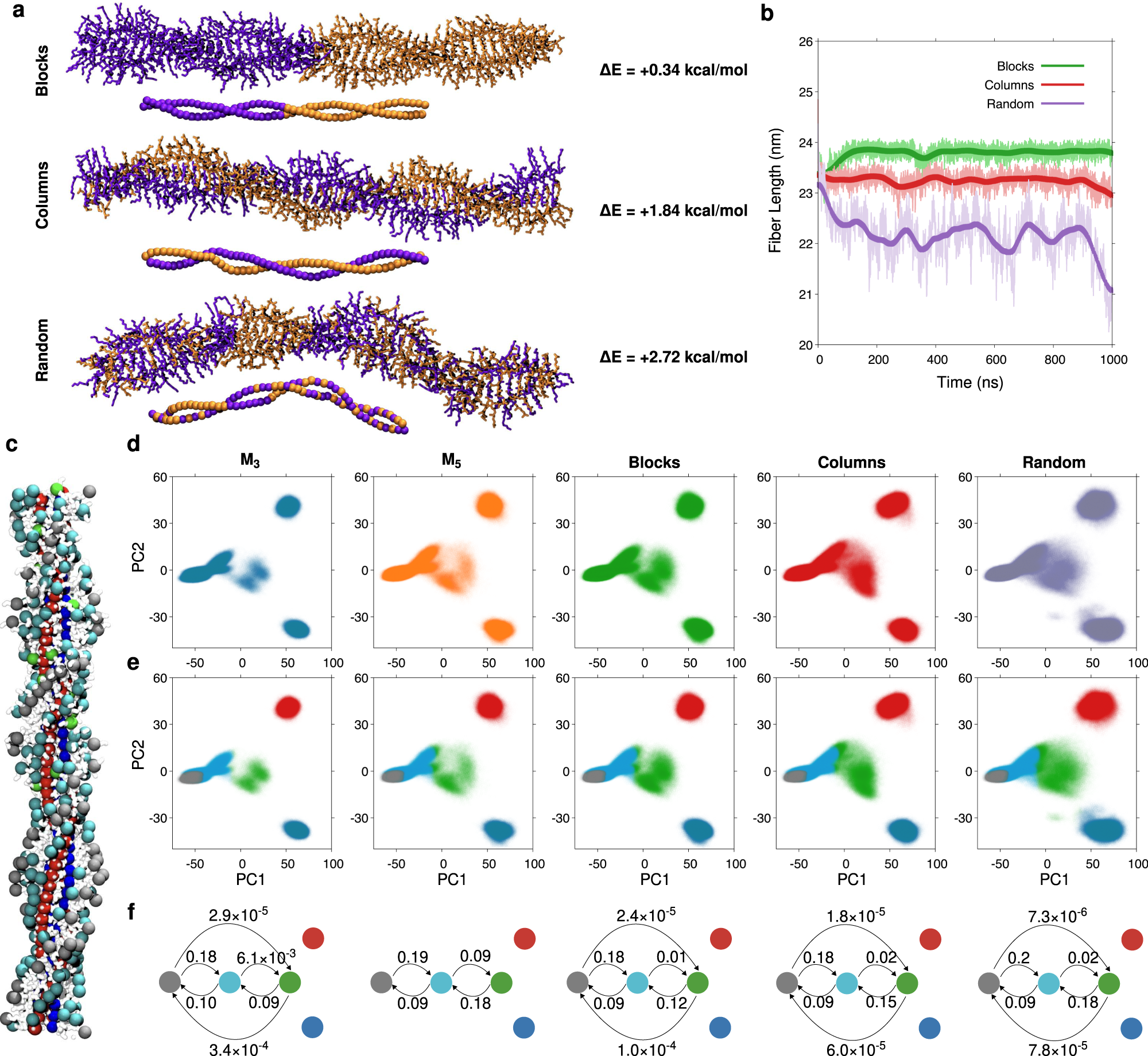 Fig. 7: Structure and dynamics of supramolecular block copolymers.