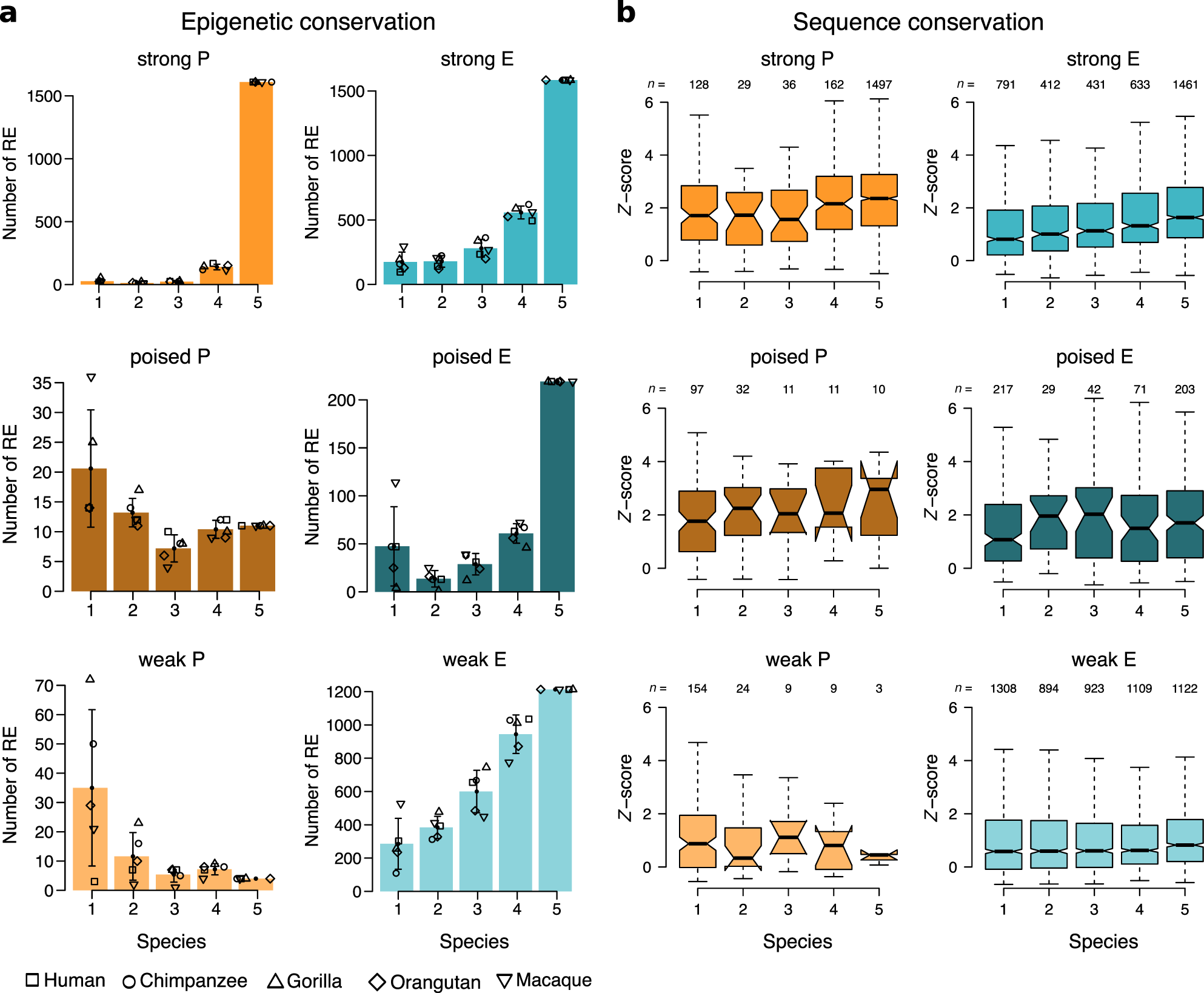 Fig. 3: Different regulatory activities have different patterns of epigenetic and sequence conservation.
