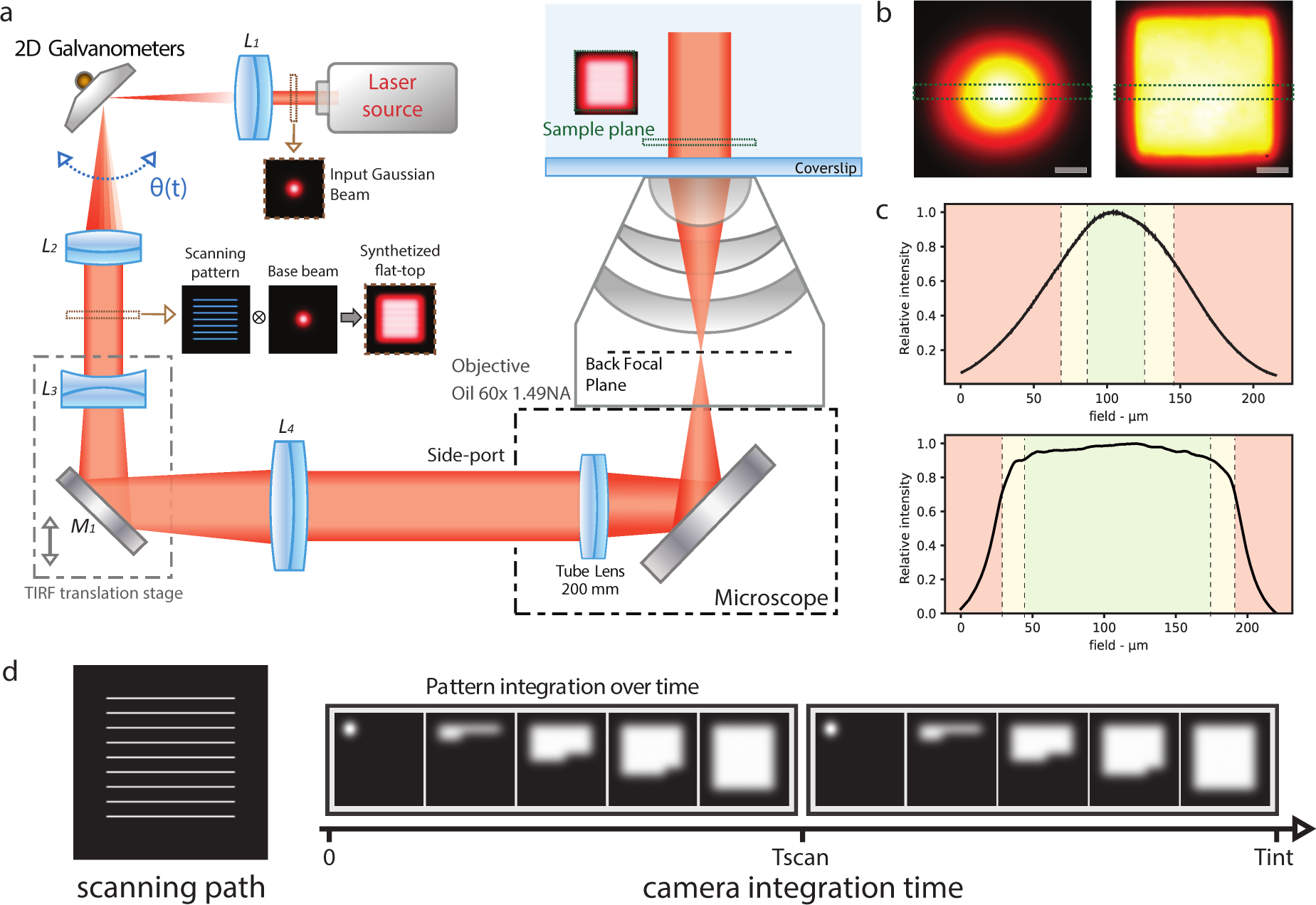 Fast widefield scan provides tunable and uniform illumination optimizing  super-resolution microscopy on large fields | Nature Communications