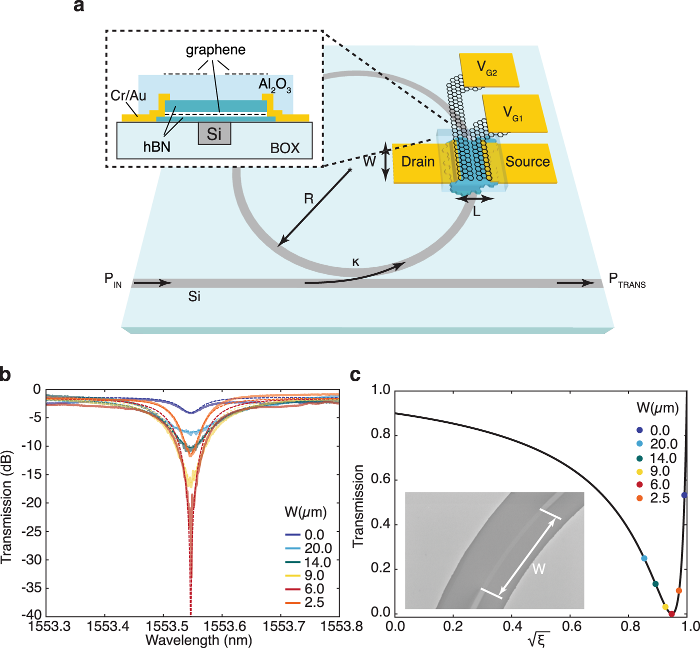 organisere huh Medarbejder High-responsivity graphene photodetectors integrated on silicon microring  resonators | Nature Communications