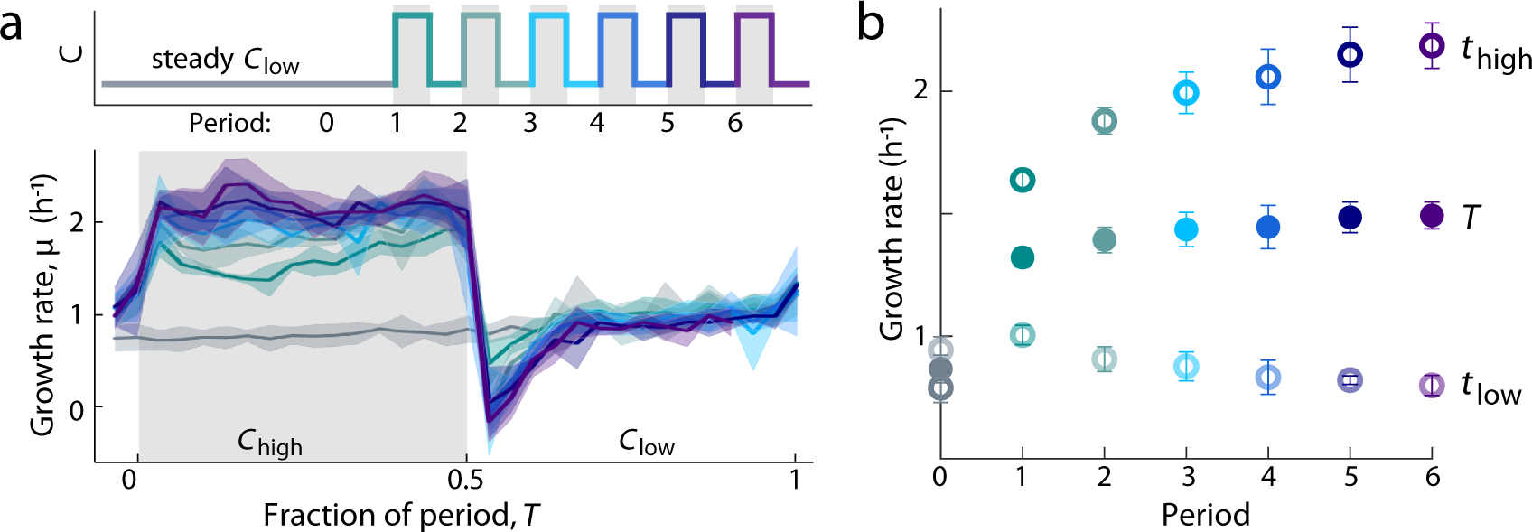 Fig. 5: Rapid nutrient fluctuations induce the transition to a fluctuation-adapted growth physiology.