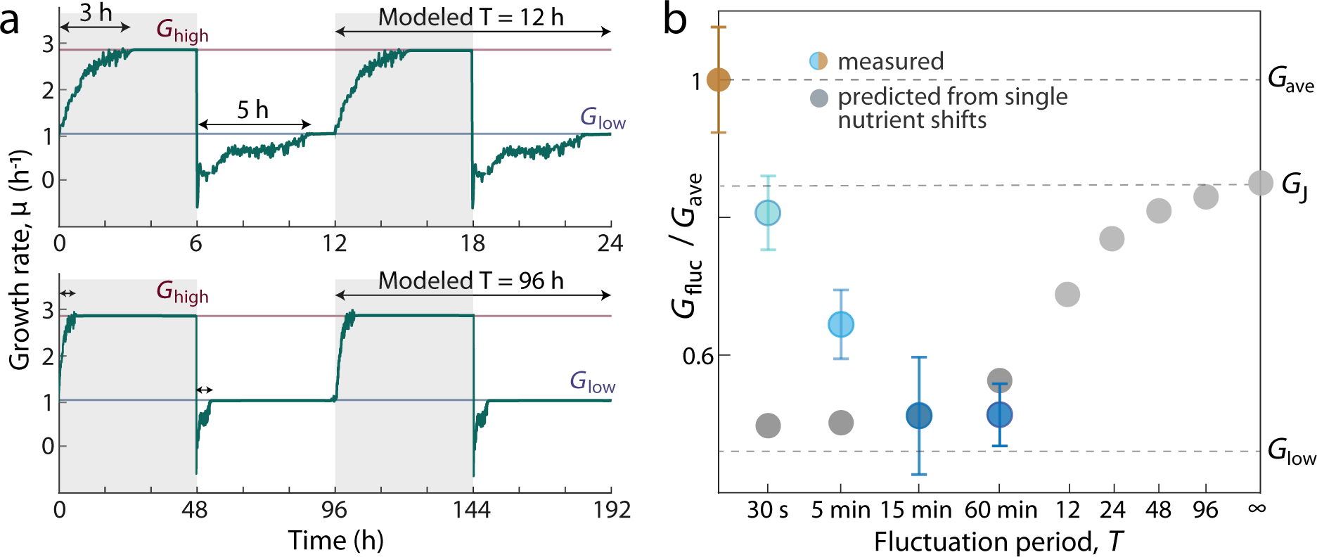 Fig. 6: Growth rate under rapid nutrient fluctuations is sensitive to timescale and higher than predicted by a null model based on single shifts.