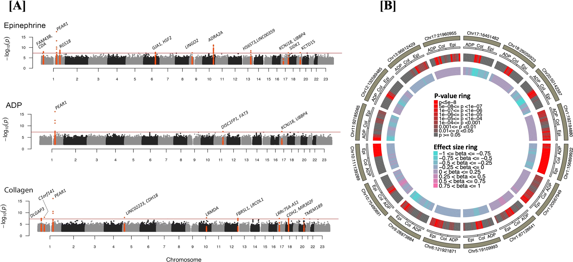 Genome sequencing unveils a regulatory landscape of platelet reactivity |  Nature Communications