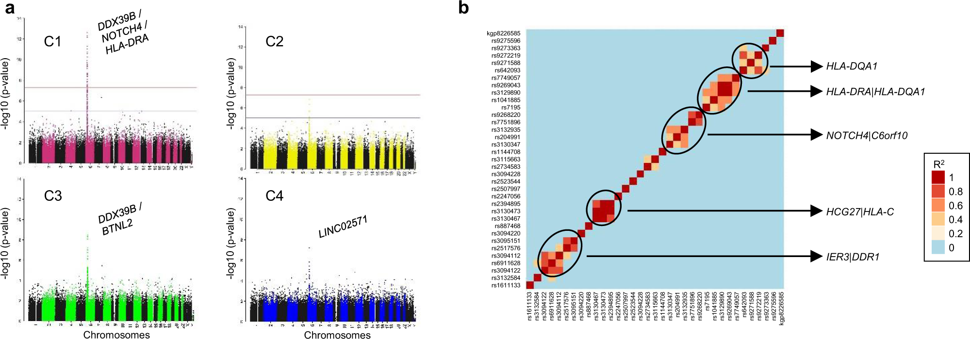 Fig. 4: Cluster genome-wide association analyses (GWAS).