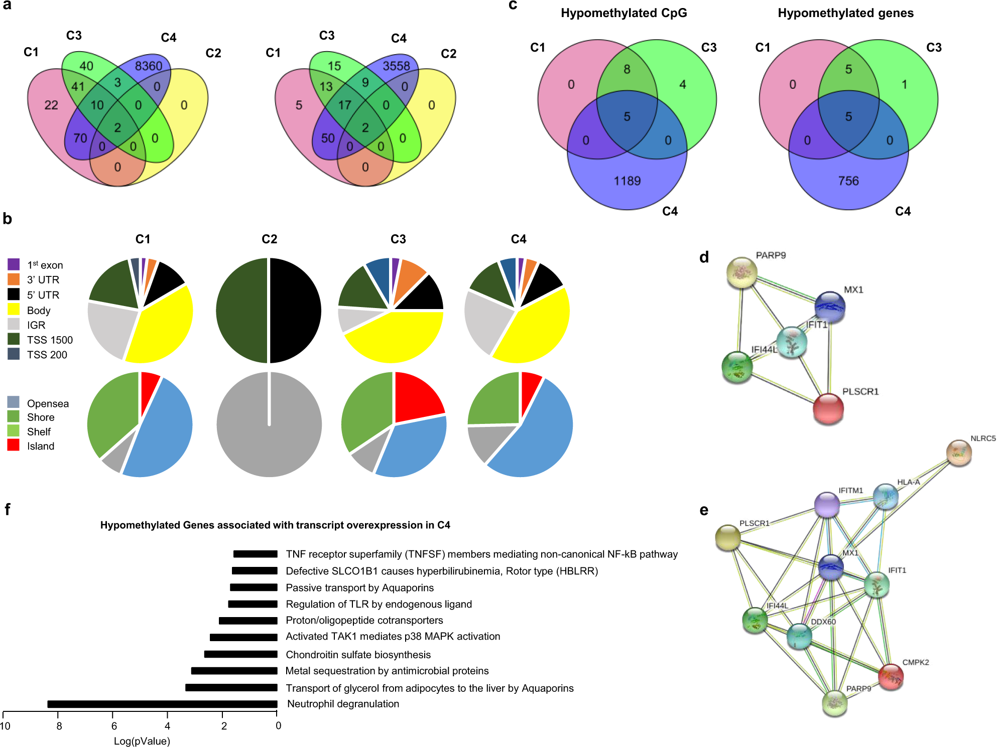Fig. 5: Methylation analysis confirms the strong IFN signature in C1 and C3 and reveals an aberrant methylation status in C4.