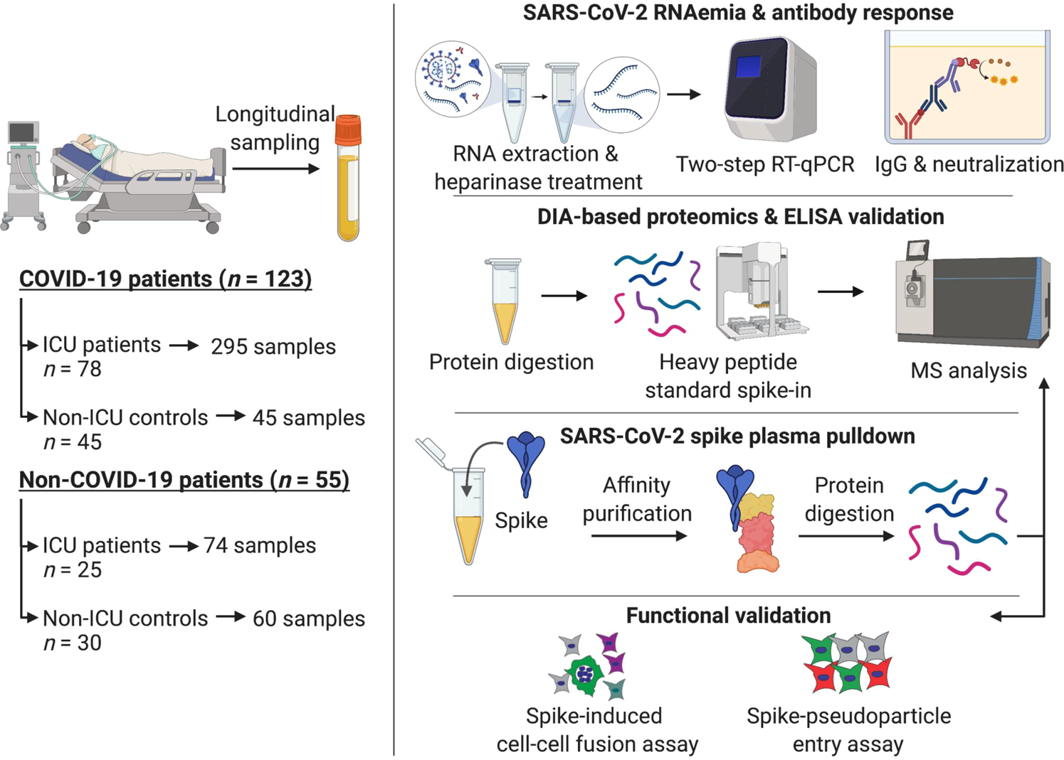SARS-CoV-2 RNAemia and proteomic trajectories inform prognostication in  COVID-19 patients admitted to intensive care | Nature Communications
