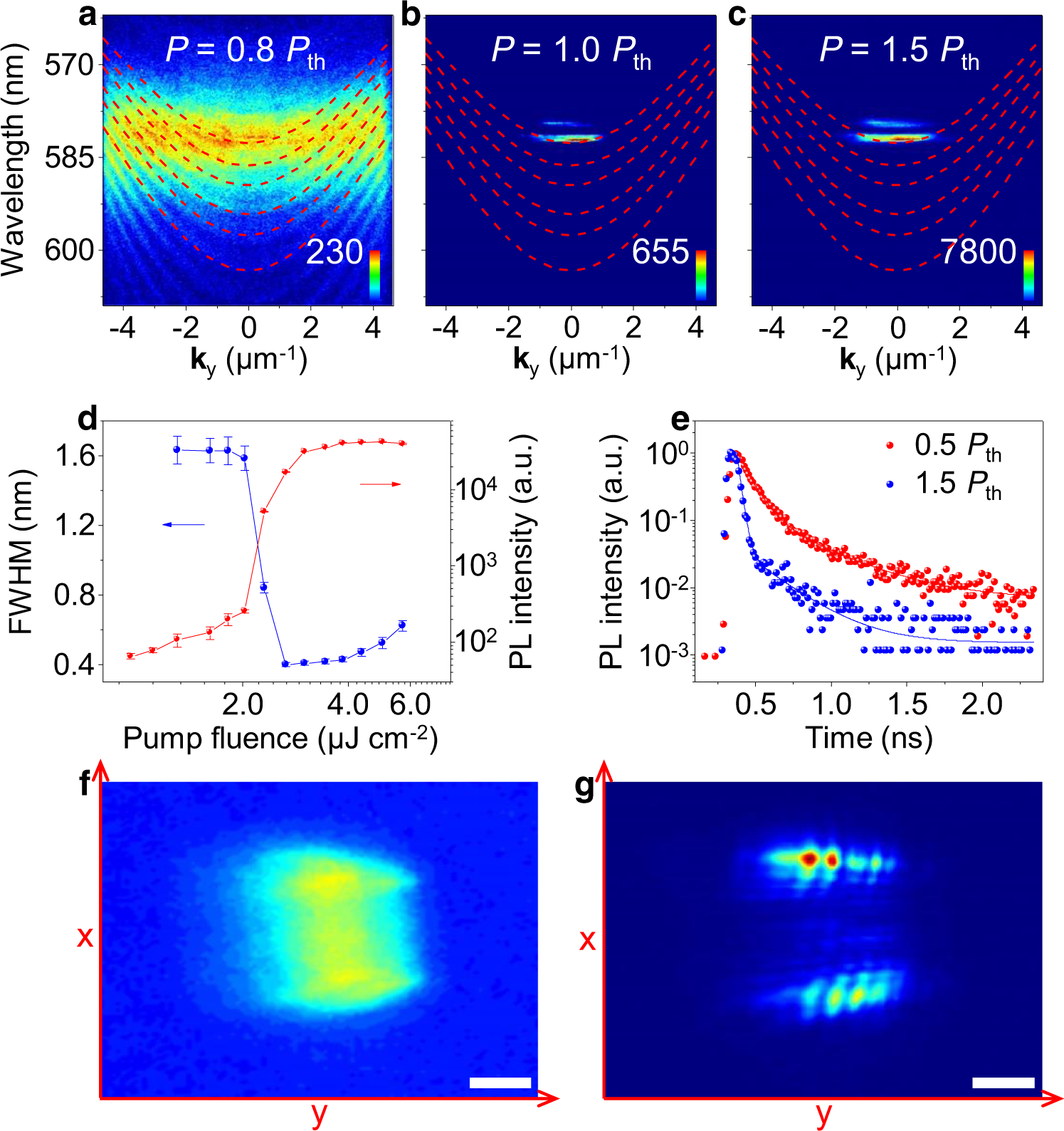 Fig. 3: Polariton condensation in the PDI-O microribbon.