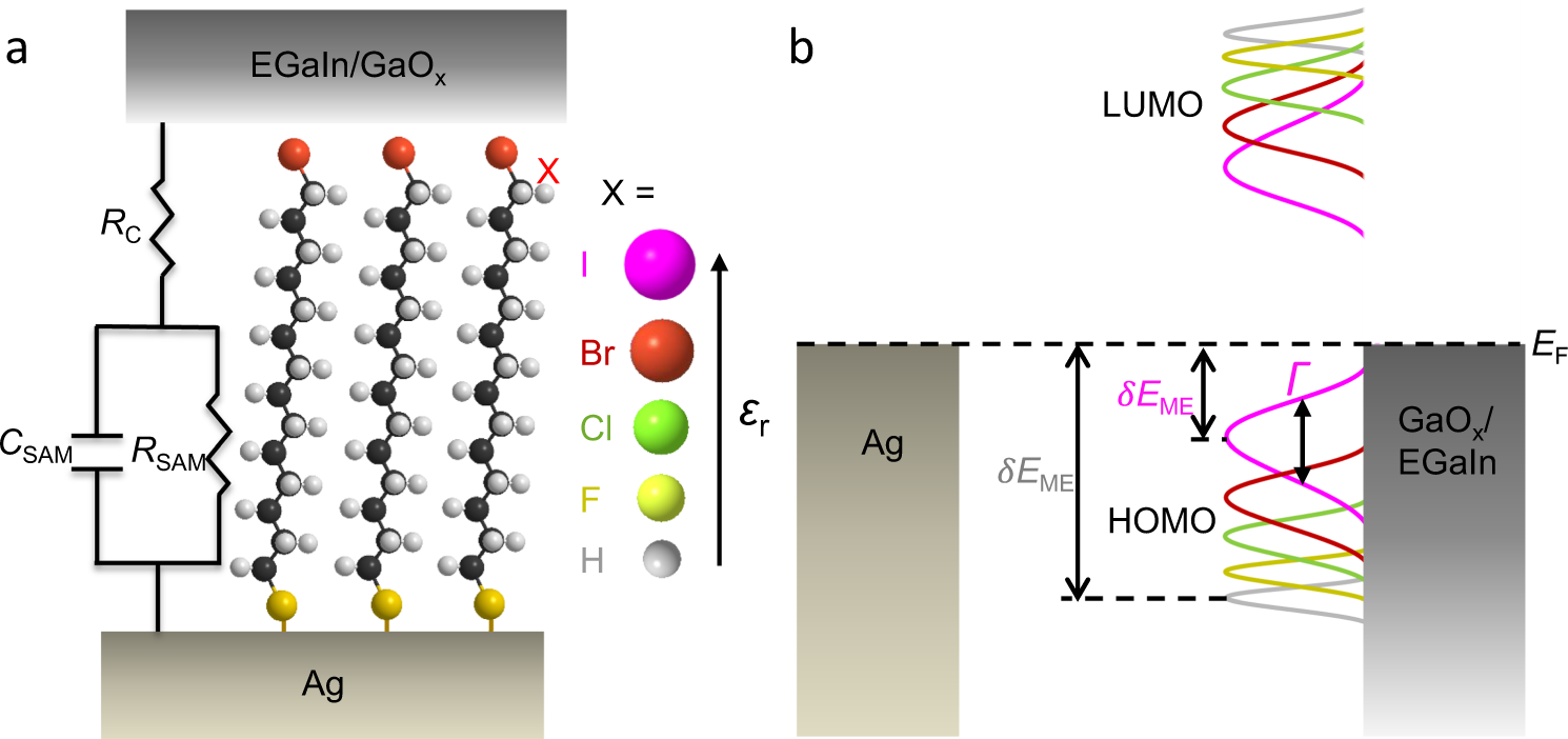 A Single Atom Change Turns Insulating Saturated Wires Into Molecular Conductors Nature Communications