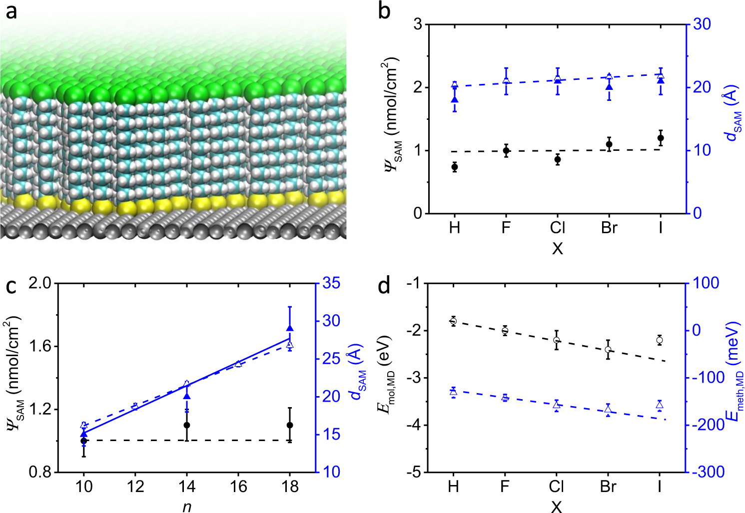Fig. 2: Characterization of the self-assembled monolayers (SAMs).