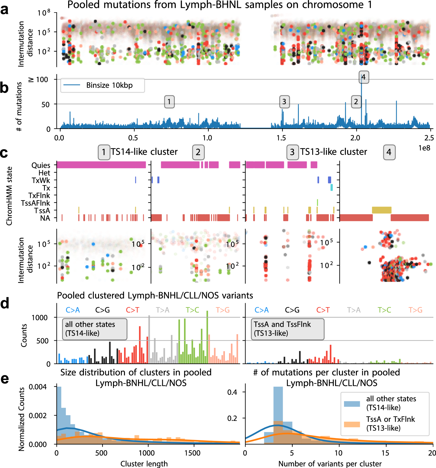 Fig. 7: Identification of a highly clustered mutational signature at active TSS.