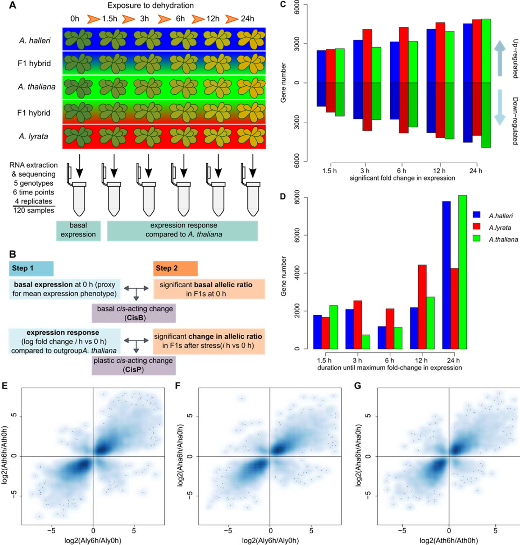Cis-regulatory evolution spotlights species differences in the adaptive  potential of gene expression plasticity | Nature Communications