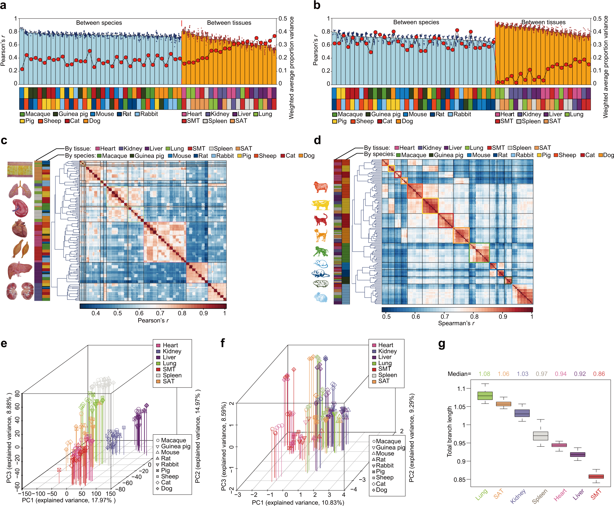 Fig. 6: Global patterns of PCG transcription and alternative splicing across mammalian models.