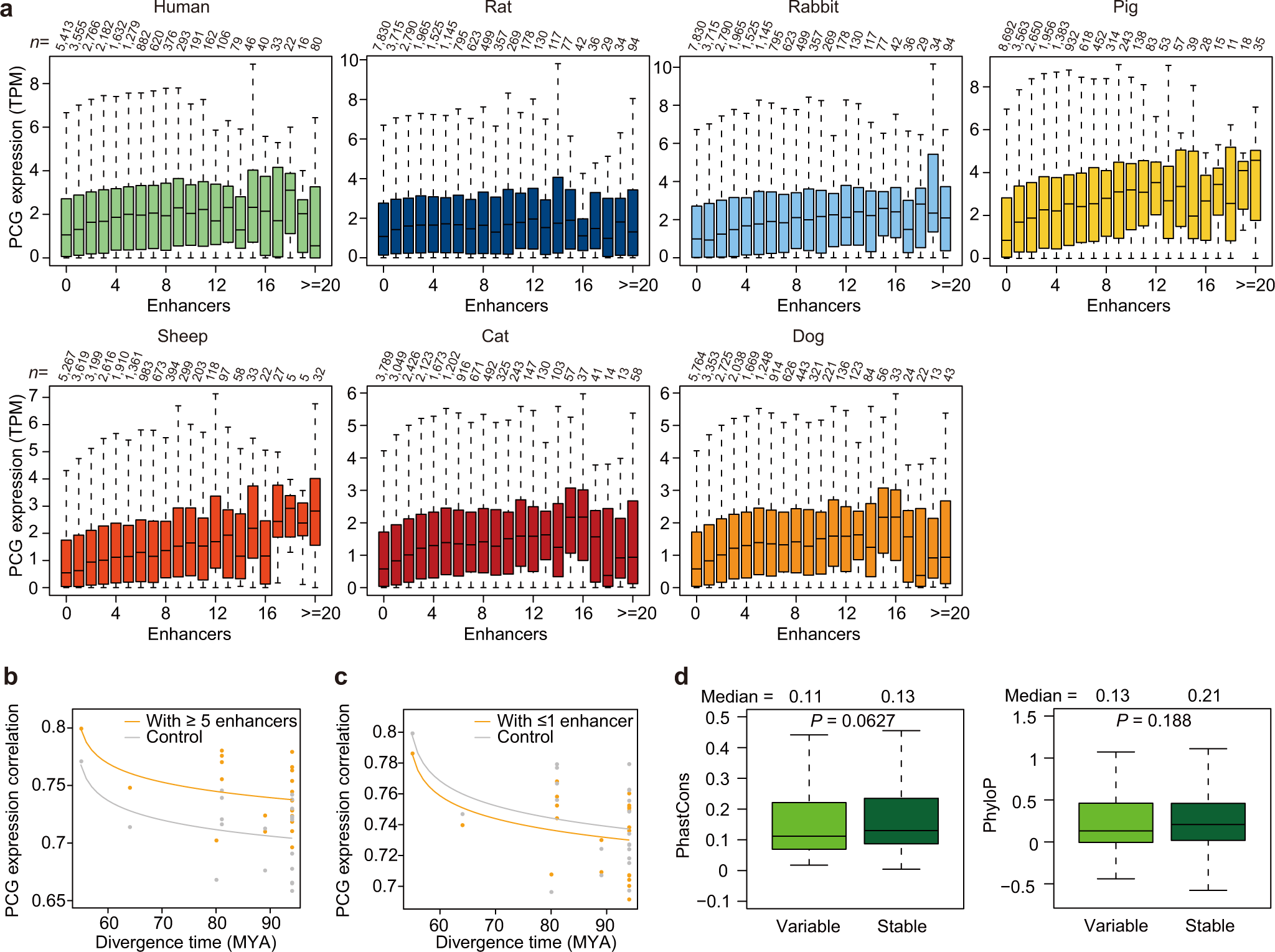 Fig. 7: The number of enhancers drives the stability of PCG transcription across the mammalian phylogeny.