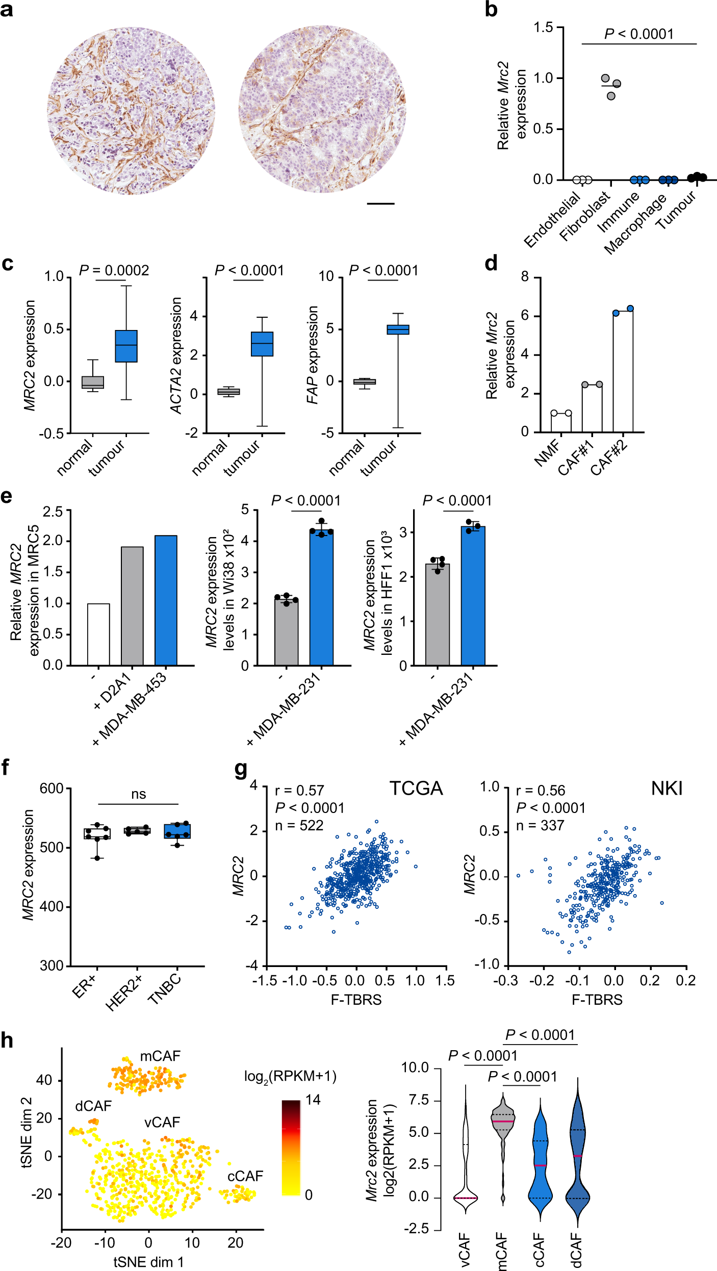 Impairment Of A Distinct Cancer Associated Fibroblast Population Limits Tumour Growth And Metastasis Nature Communications Impairment Of A Distinct Cancer Associated Fibroblast Population Limits Tumour Growth And Metastasis Nature Communications