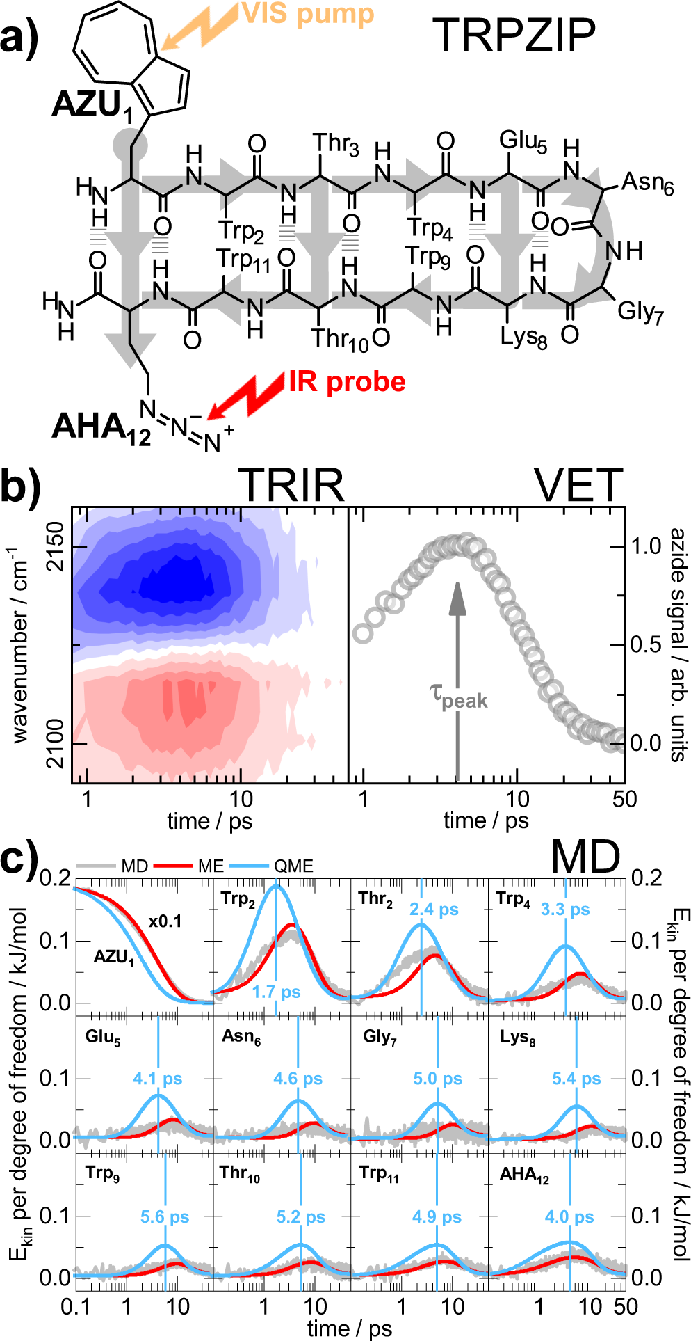 Through bonds or contacts? Mapping protein vibrational energy transfer  using non-canonical amino acids | Nature Communications
