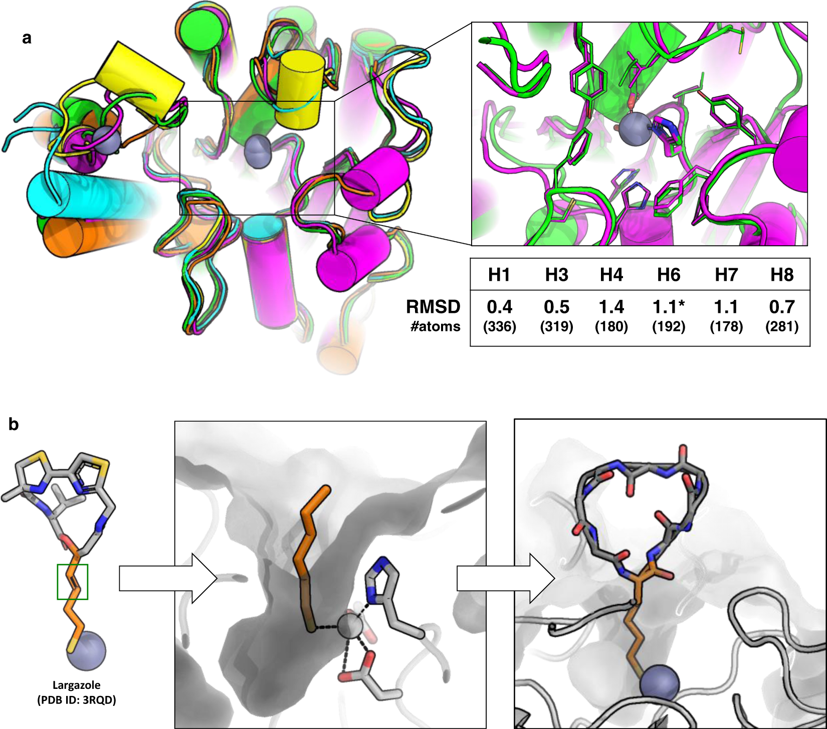 Anchor extension: a structure-guided approach to design cyclic peptides  targeting enzyme active sites | Nature Communications
