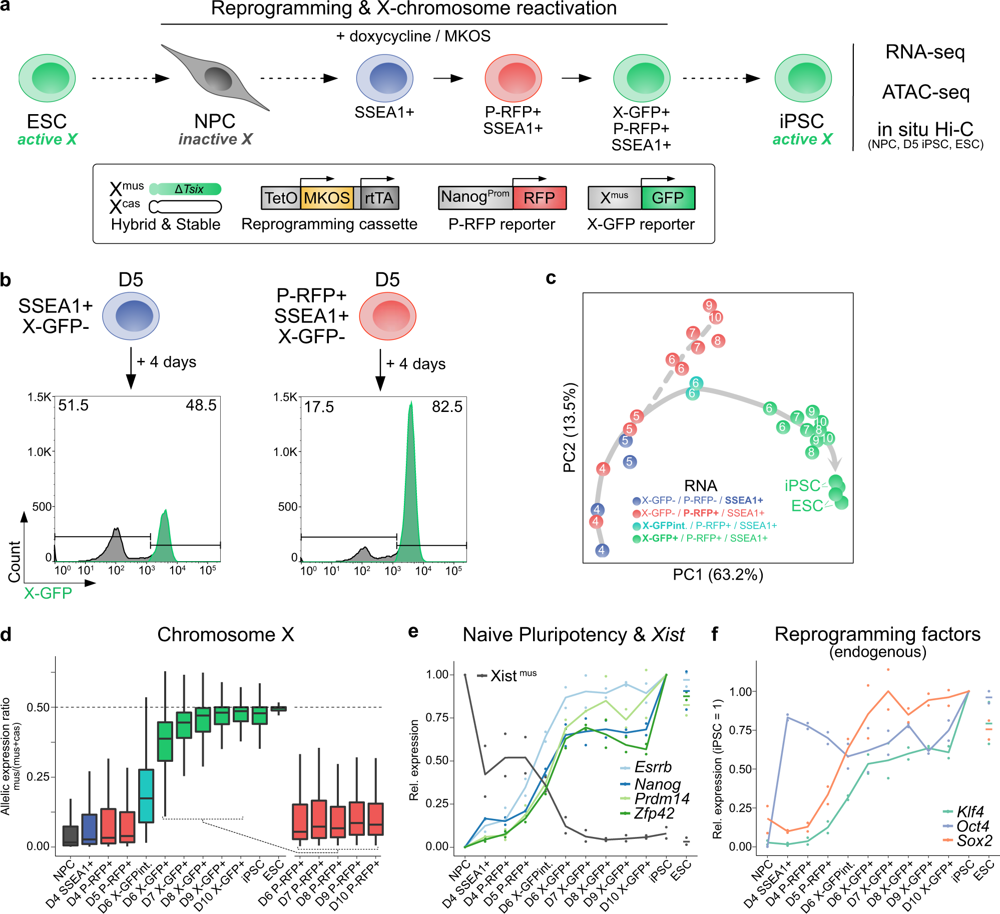 Chromosome Compartments On The Inactive X Guide Tad Formation Independently Of Transcription During X Reactivation Nature Communications Chromosome Compartments On The Inactive X Guide Tad Formation Independently Of Transcription During X Reactivation Nature Communications