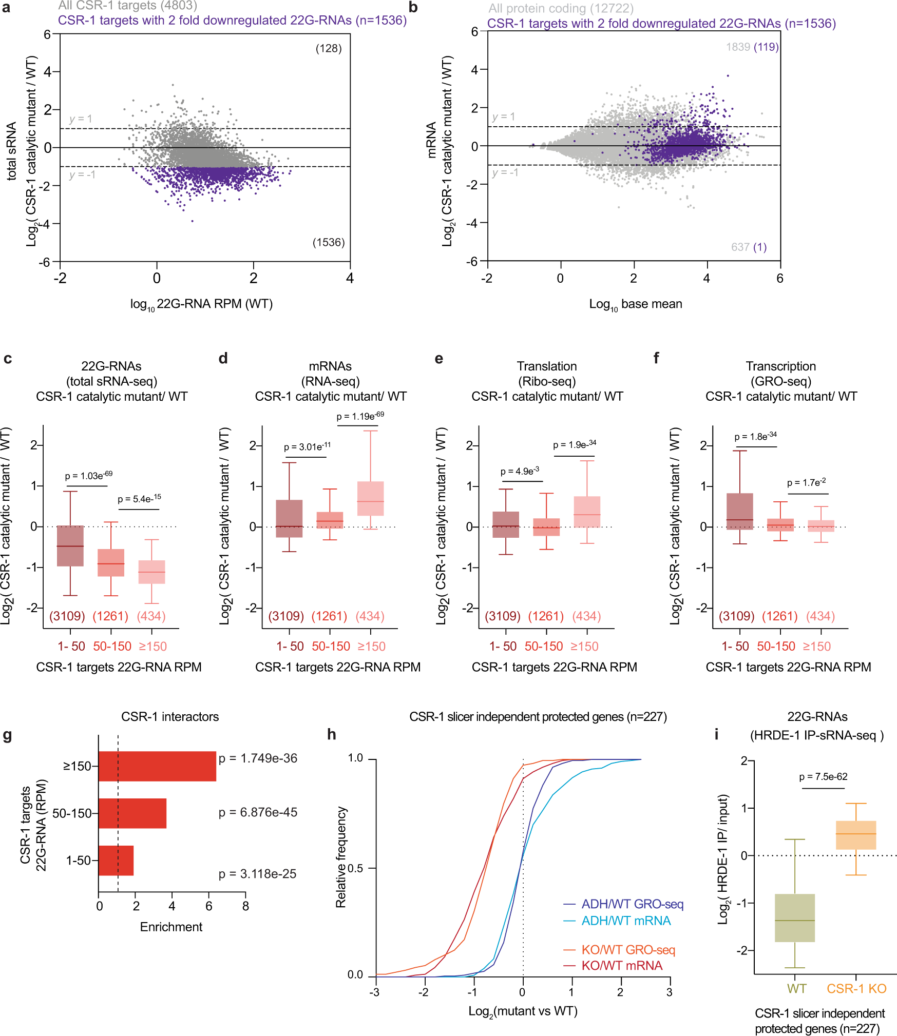 Translation And Codon Usage Regulate Argonaute Slicer Activity To Trigger Small Rna Biogenesis Nature Communications