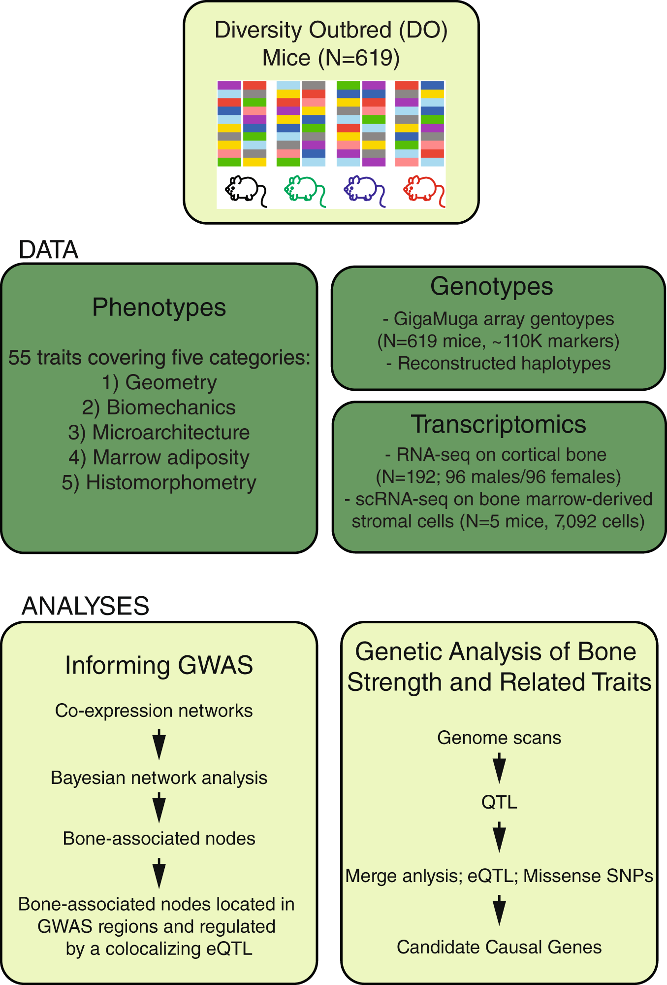 Fig. 1: Resource overview.