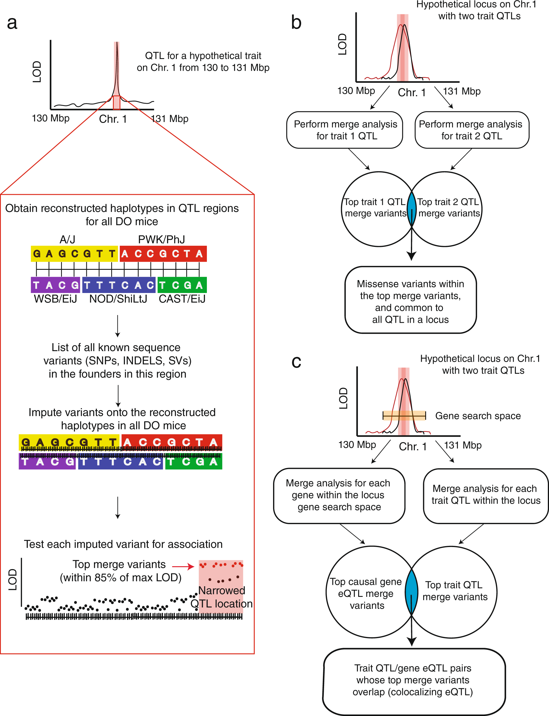 Fig. 5: Overview of our approach to QTL fine-mapping.