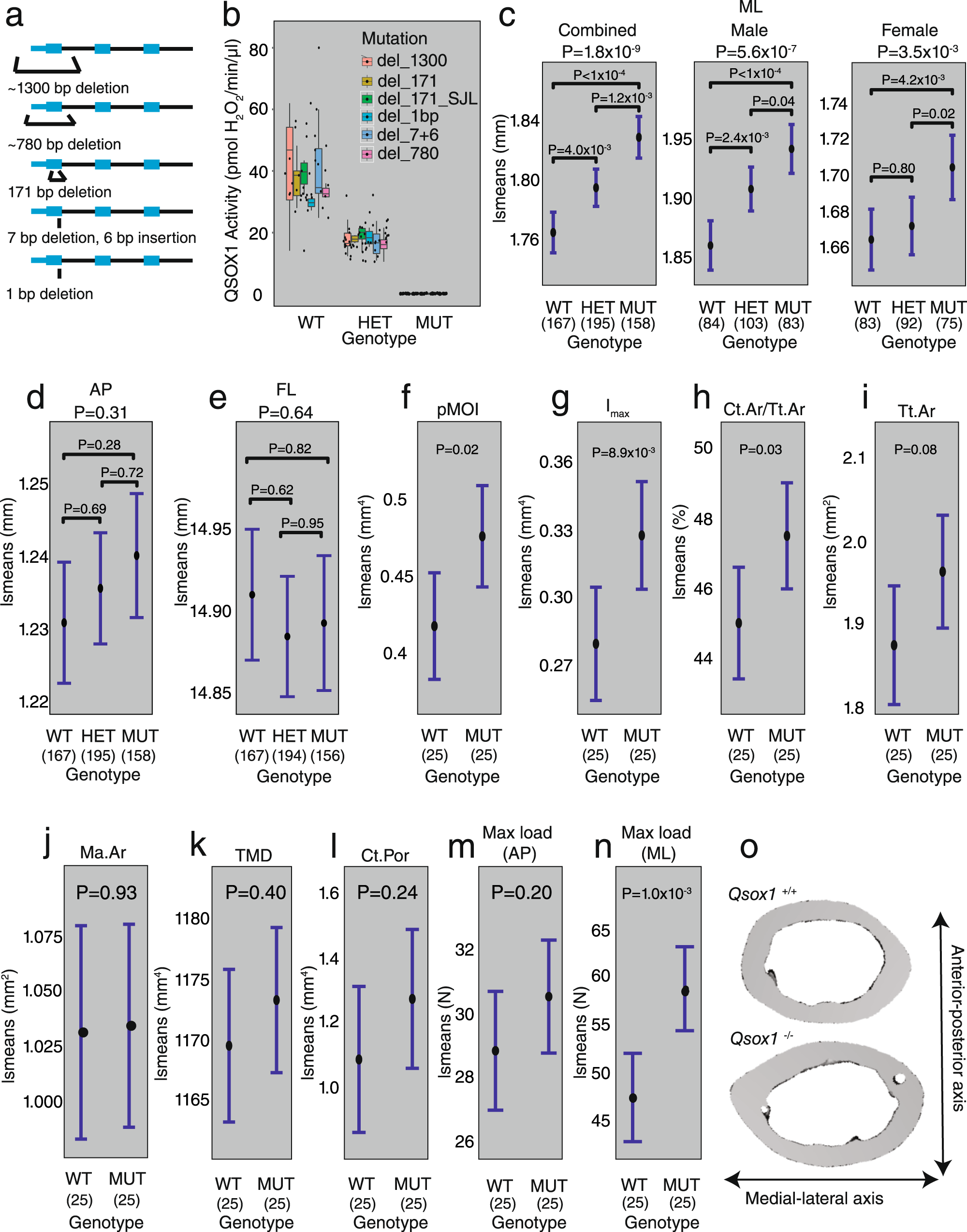 Fig. 8: Qsox1 is responsible for several chromosome 1 QTL.