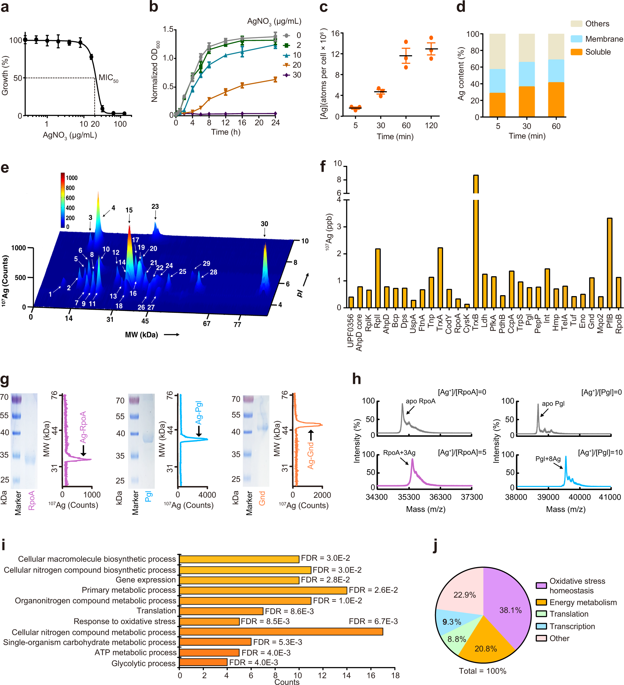 Multi-target mode of action of silver against Staphylococcus aureus endows  it with capability to combat antibiotic resistance | Nature Communications