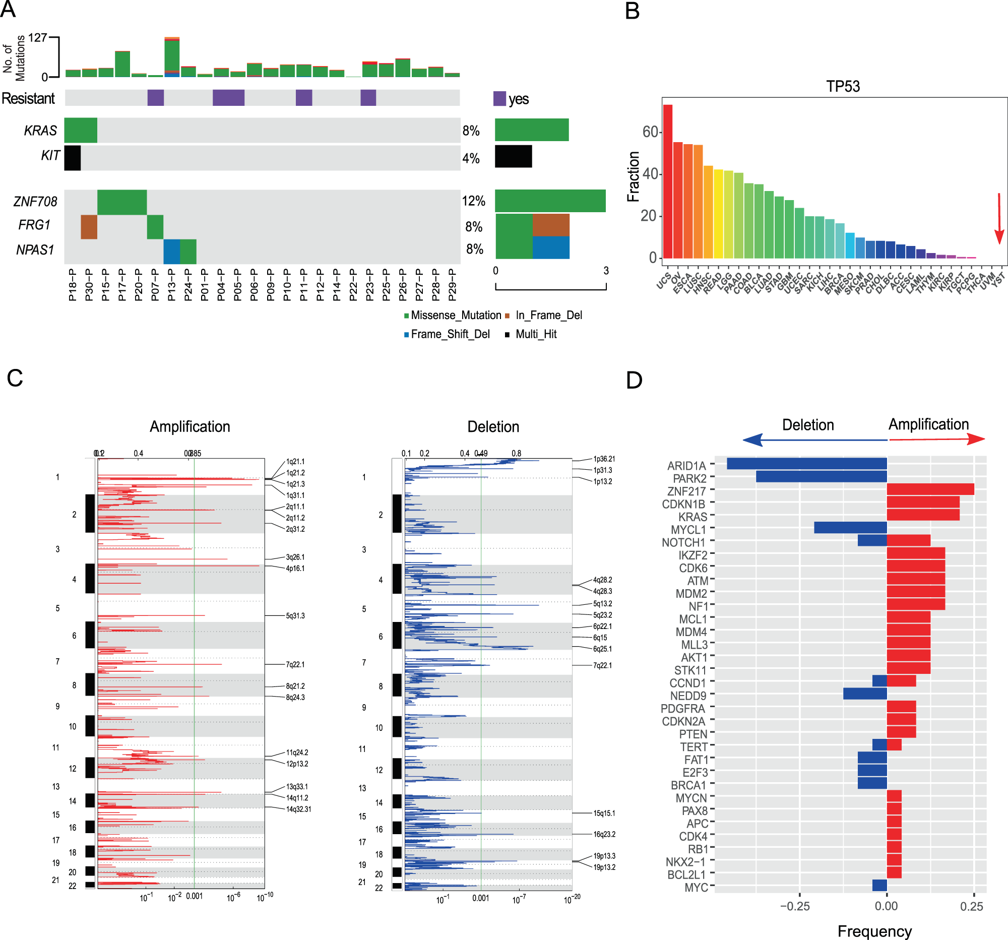 Fig. 3: The somatic alteration patterns of YST primary tumors.