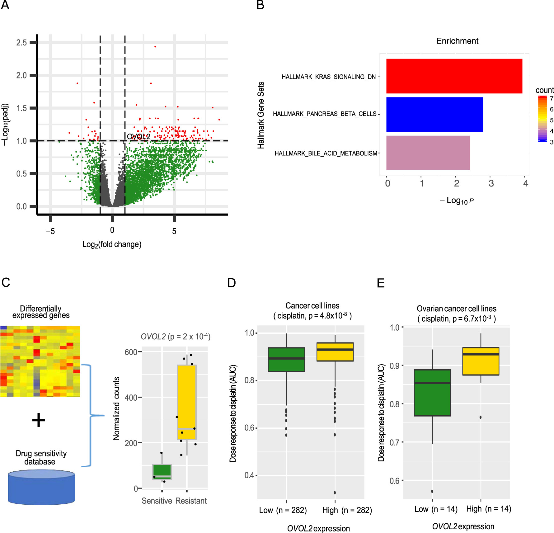 Fig. 6: Differentially expressed genes between chemo-sensitive primary and relapsed YST samples.