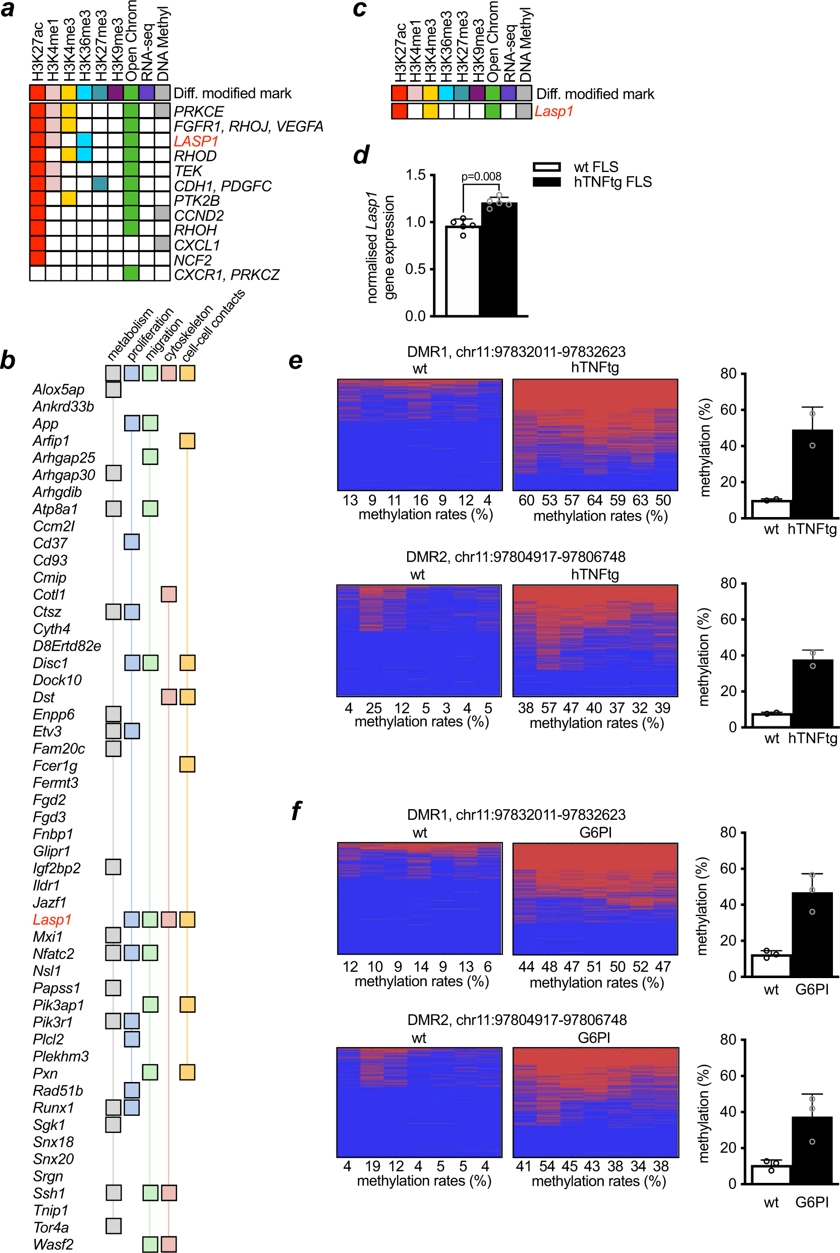 Lasp1 Regulates Adherens Junction Dynamics And Fibroblast Transformation In Destructive Arthritis Nature Communications Lasp1 Regulates Adherens Junction Dynamics And Fibroblast Transformation In Destructive Arthritis Nature Communications