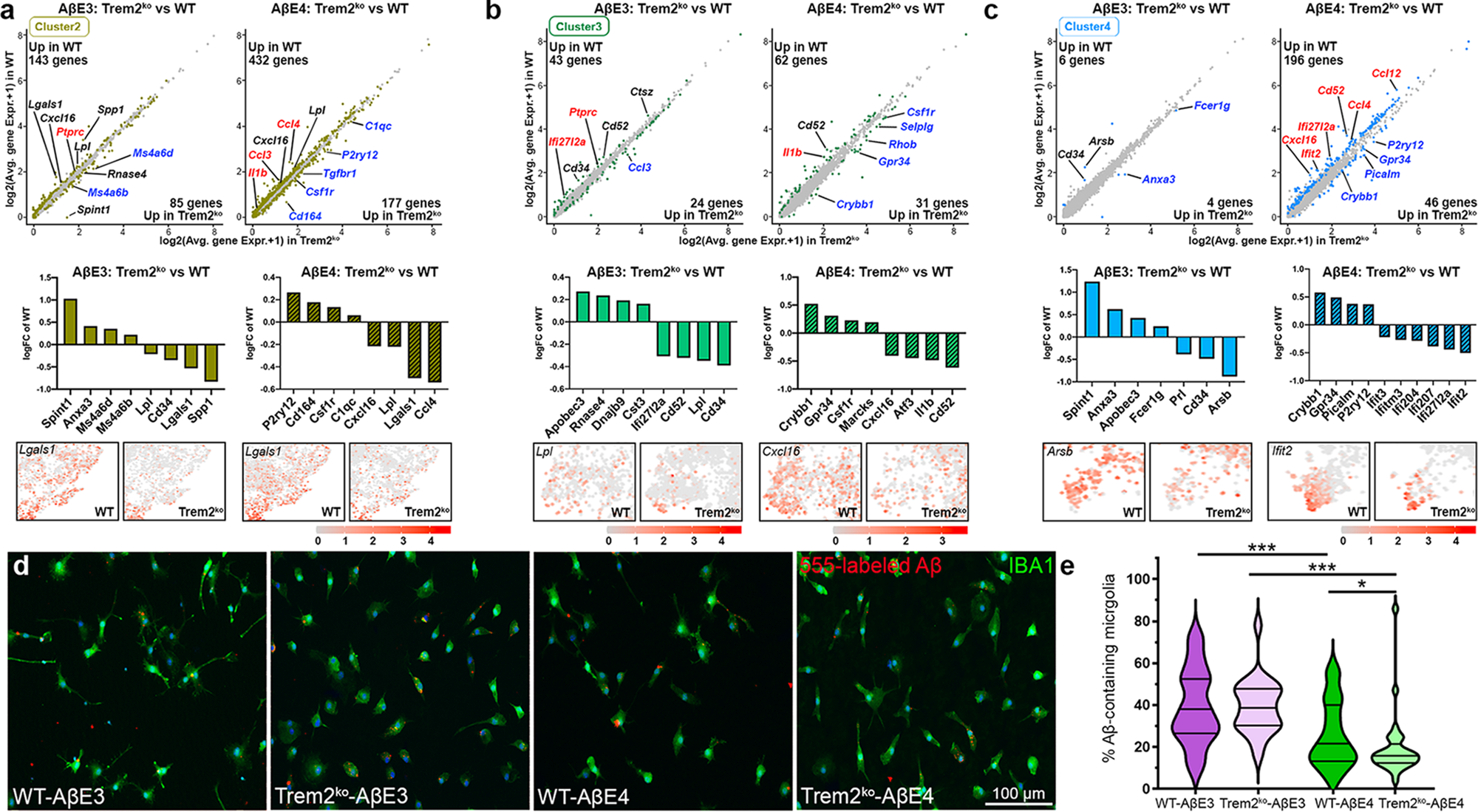 Fig. 7: Trem2 deficiency and APOE isoform affect microglia response to Aβ.