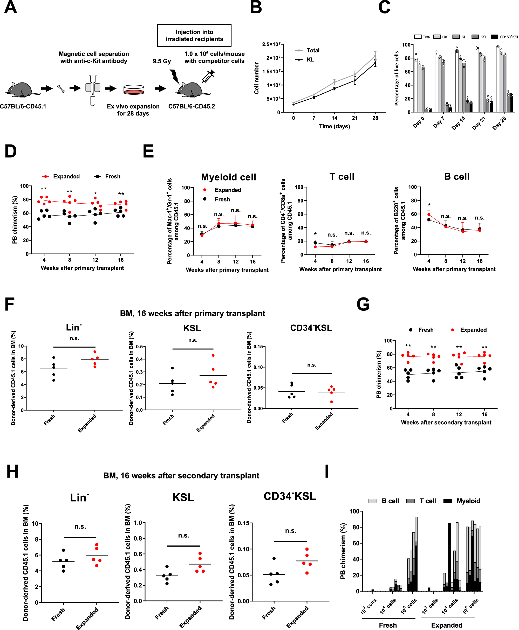Non-conditioned bone marrow chimeric mouse generation using culture-based  enrichment of hematopoietic stem and progenitor cells | Nature  Communications