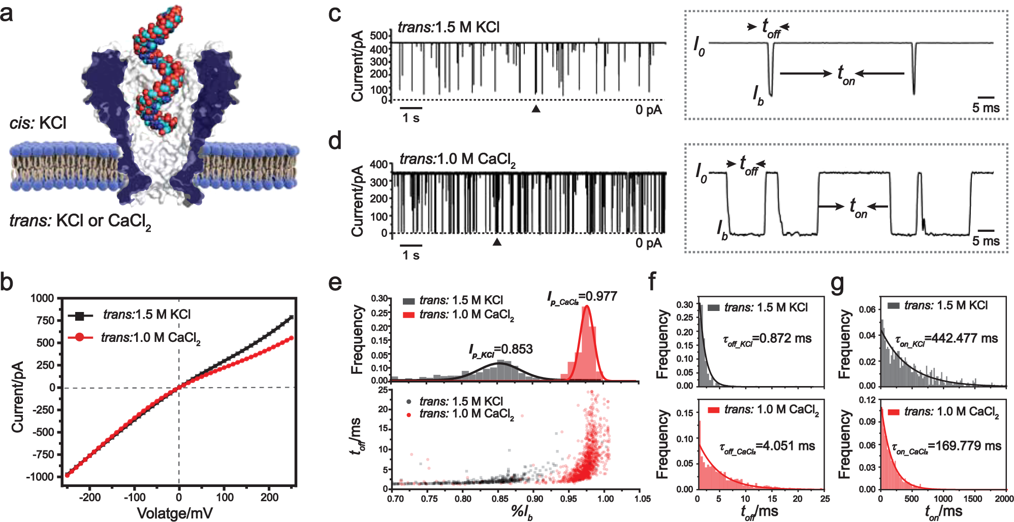Structural-profiling of low molecular weight RNAs by nanopore  trapping/translocation using Mycobacterium smegmatis porin A | Nature  Communications