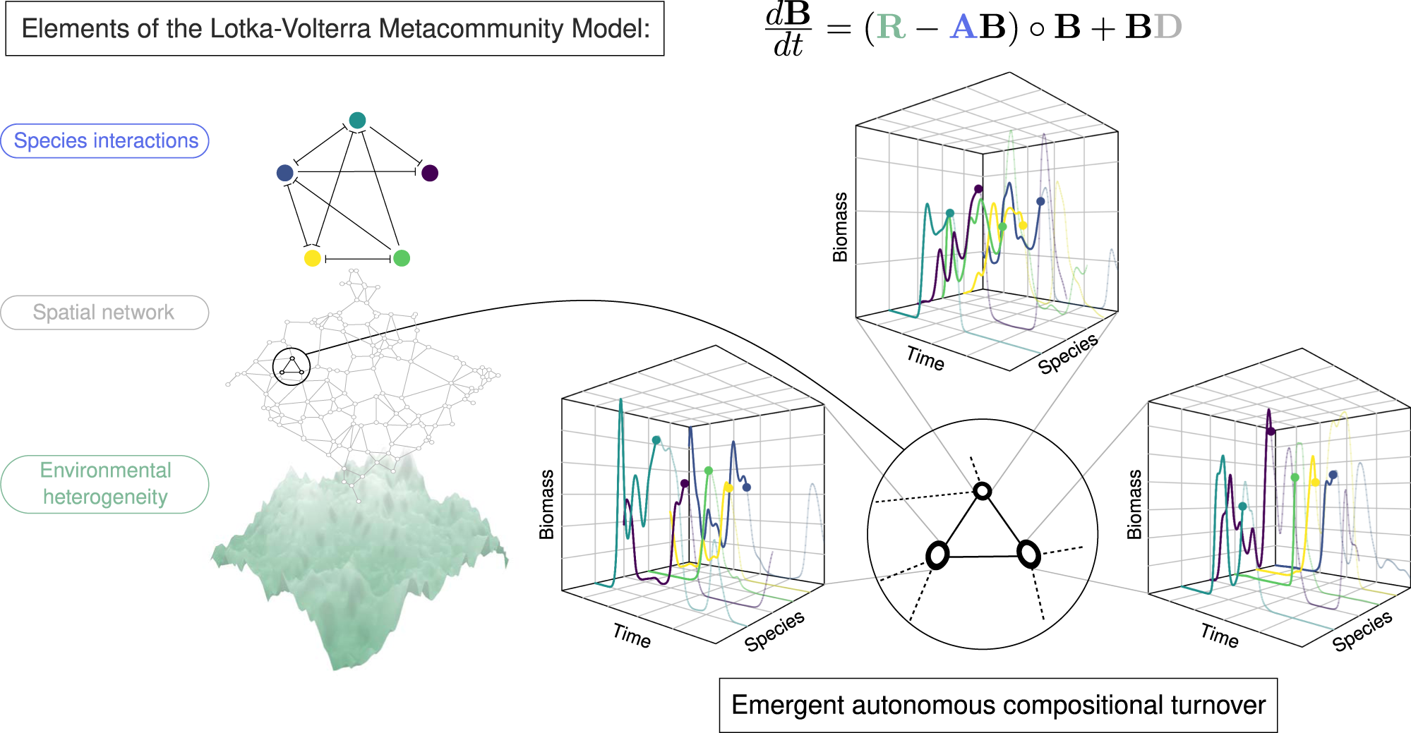 Intrinsic ecological dynamics drive biodiversity turnover in ...