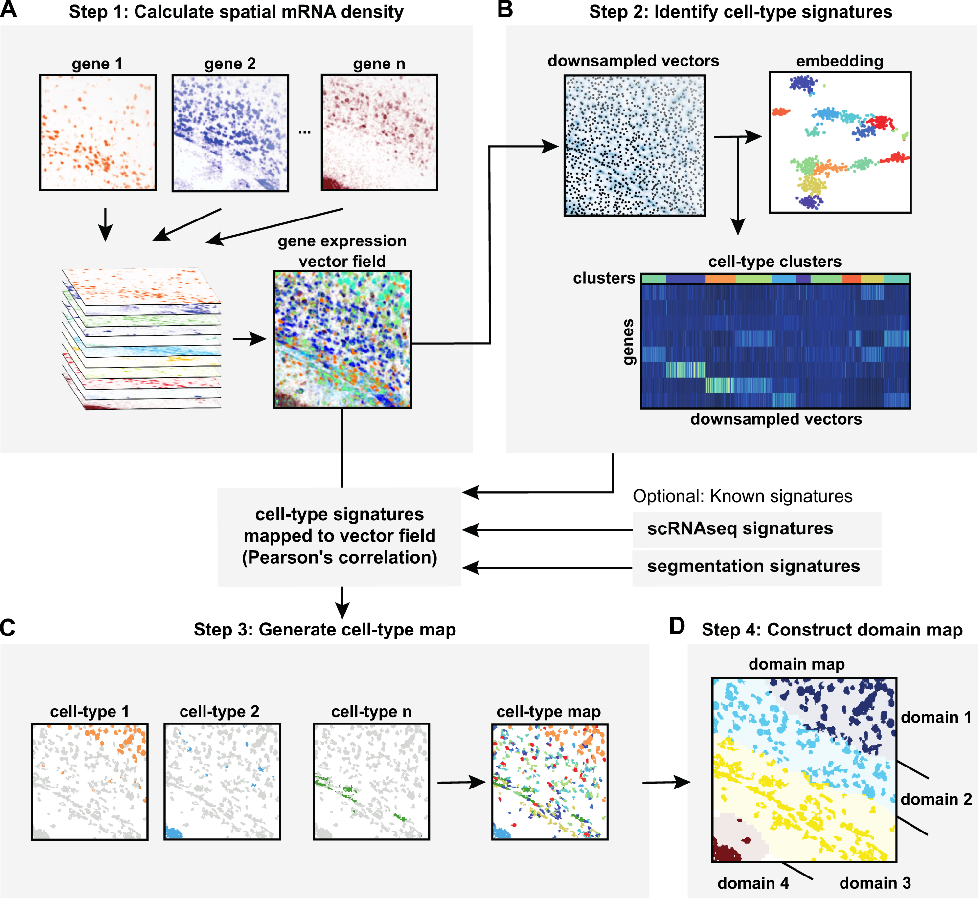 Cell segmentation-free inference of cell types from in situ transcriptomics  data | Nature Communications