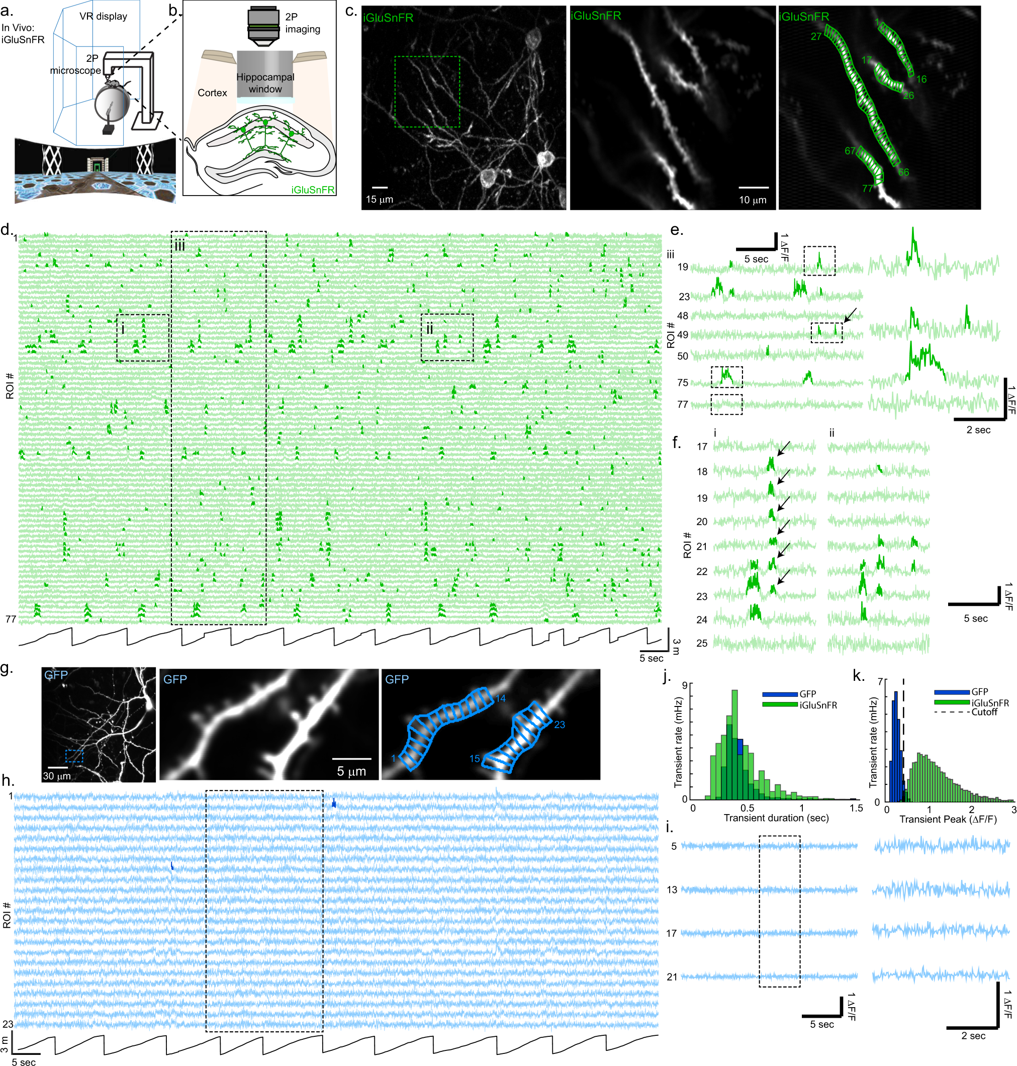 The functional organization of excitatory synaptic input to place cells |  Nature Communications