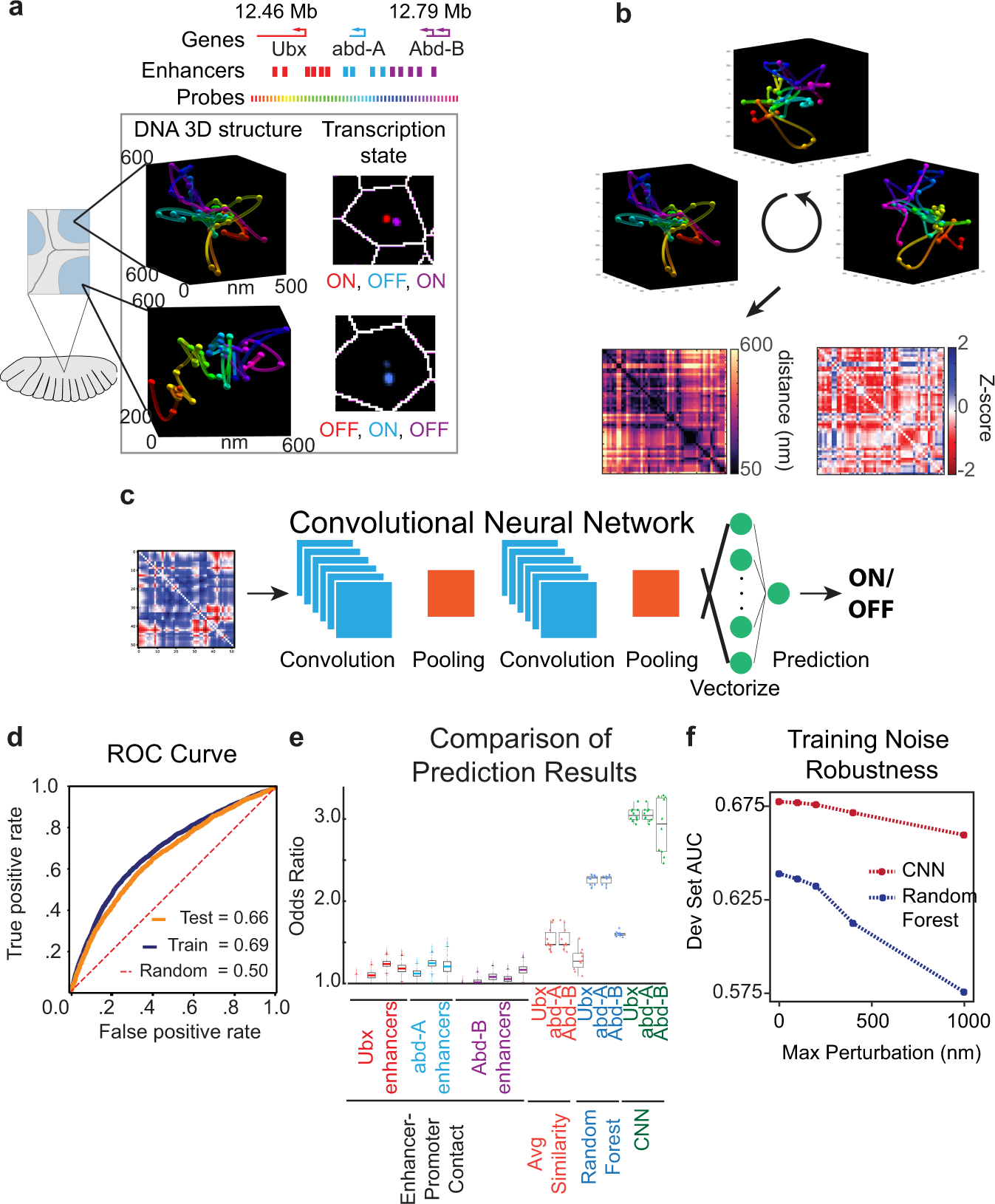 Deep learning connects DNA traces to transcription to reveal predictive  features beyond enhancer–promoter contact | Nature Communications