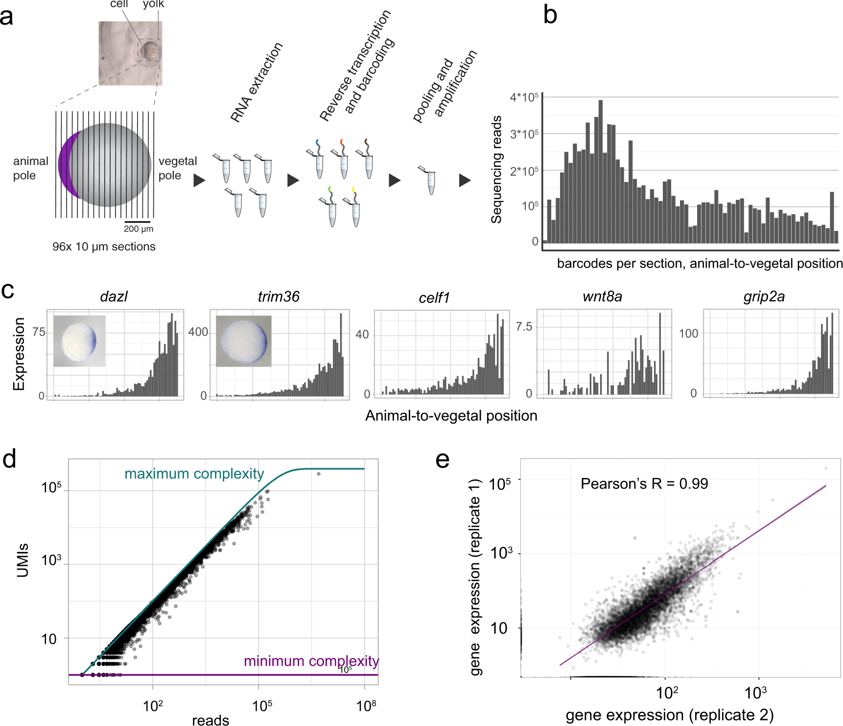 TomoSeq data search