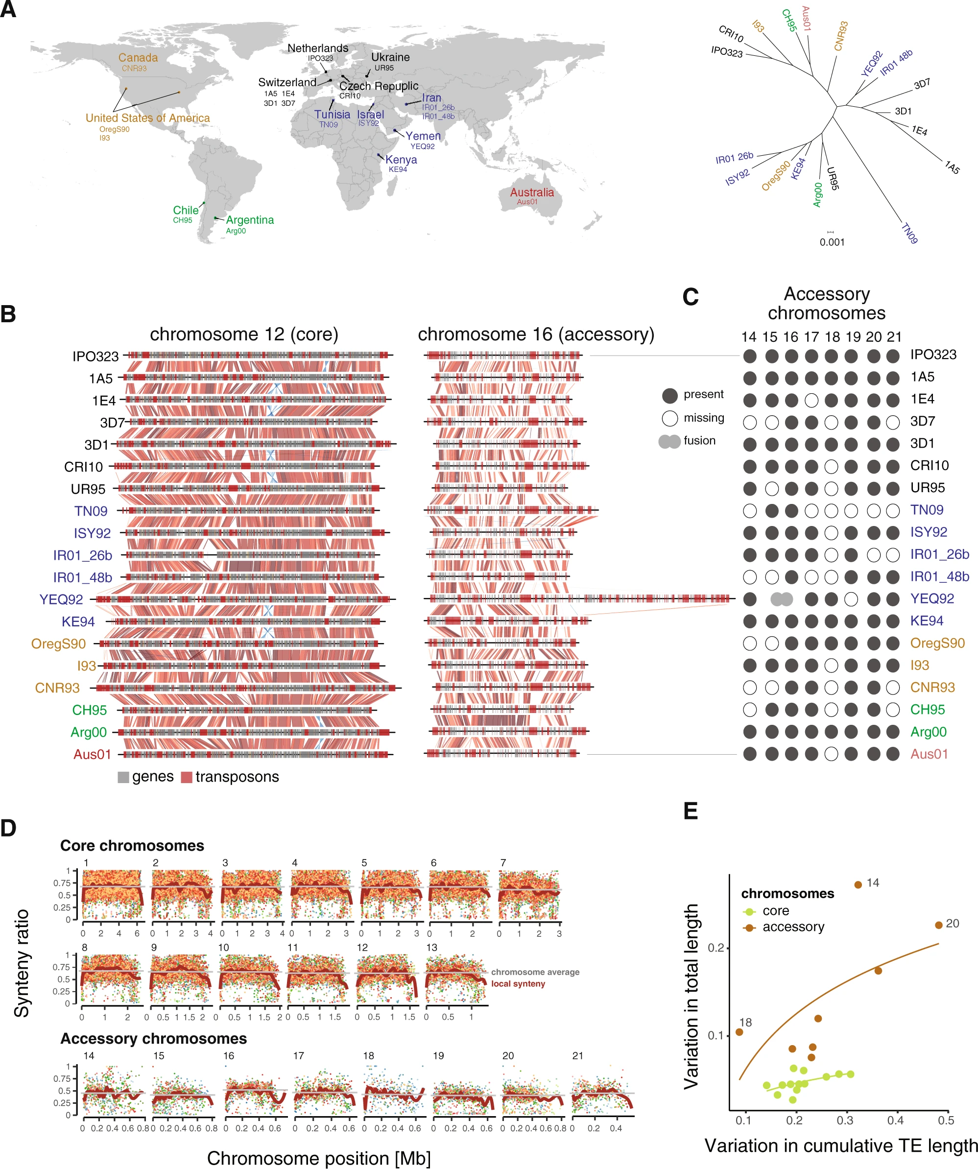 Machine-learning predicts genomic determinants of meiosis-driven structural variation in a eukaryotic pathogen